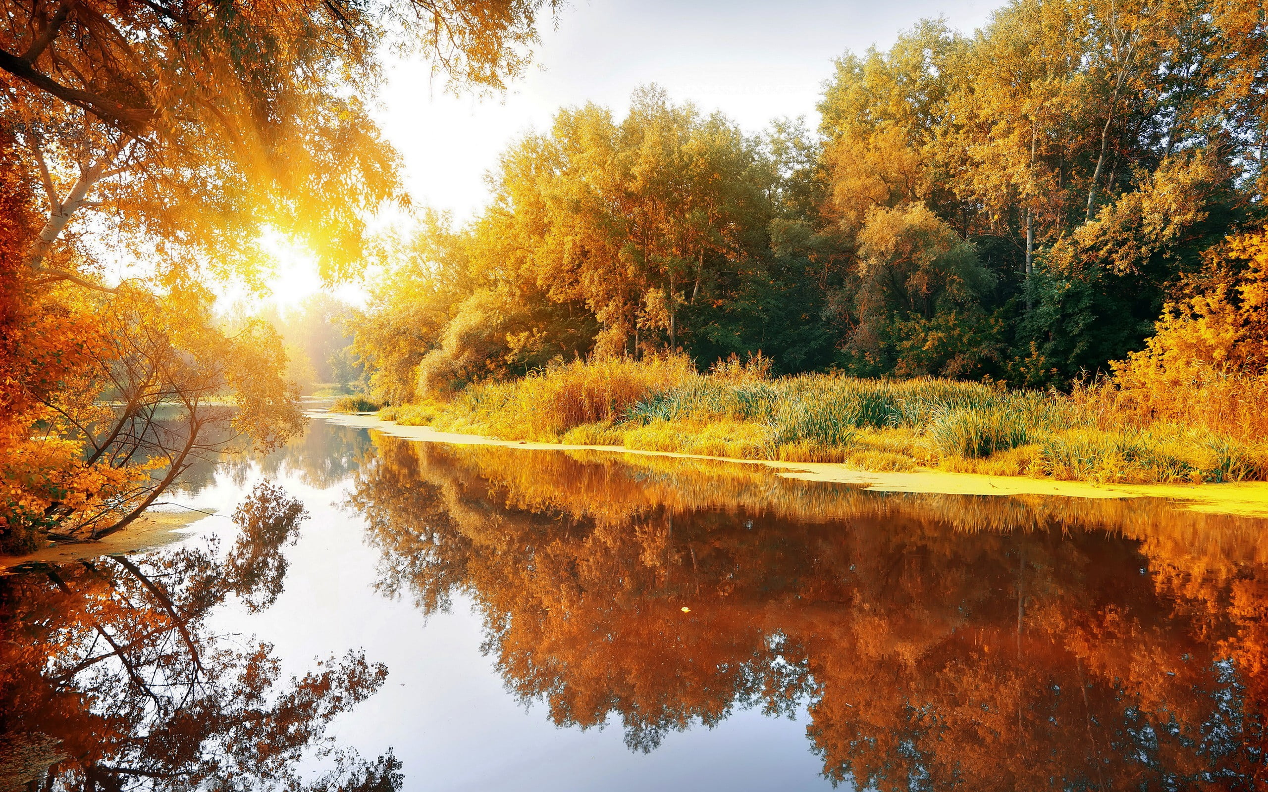 autumn, sky, landscape, daytime, trees, reflection, plant, blue, woodland, forest, scenics - nature, colors, day, autumn collection, light - Natural Phenomenon, HD Wallpaper