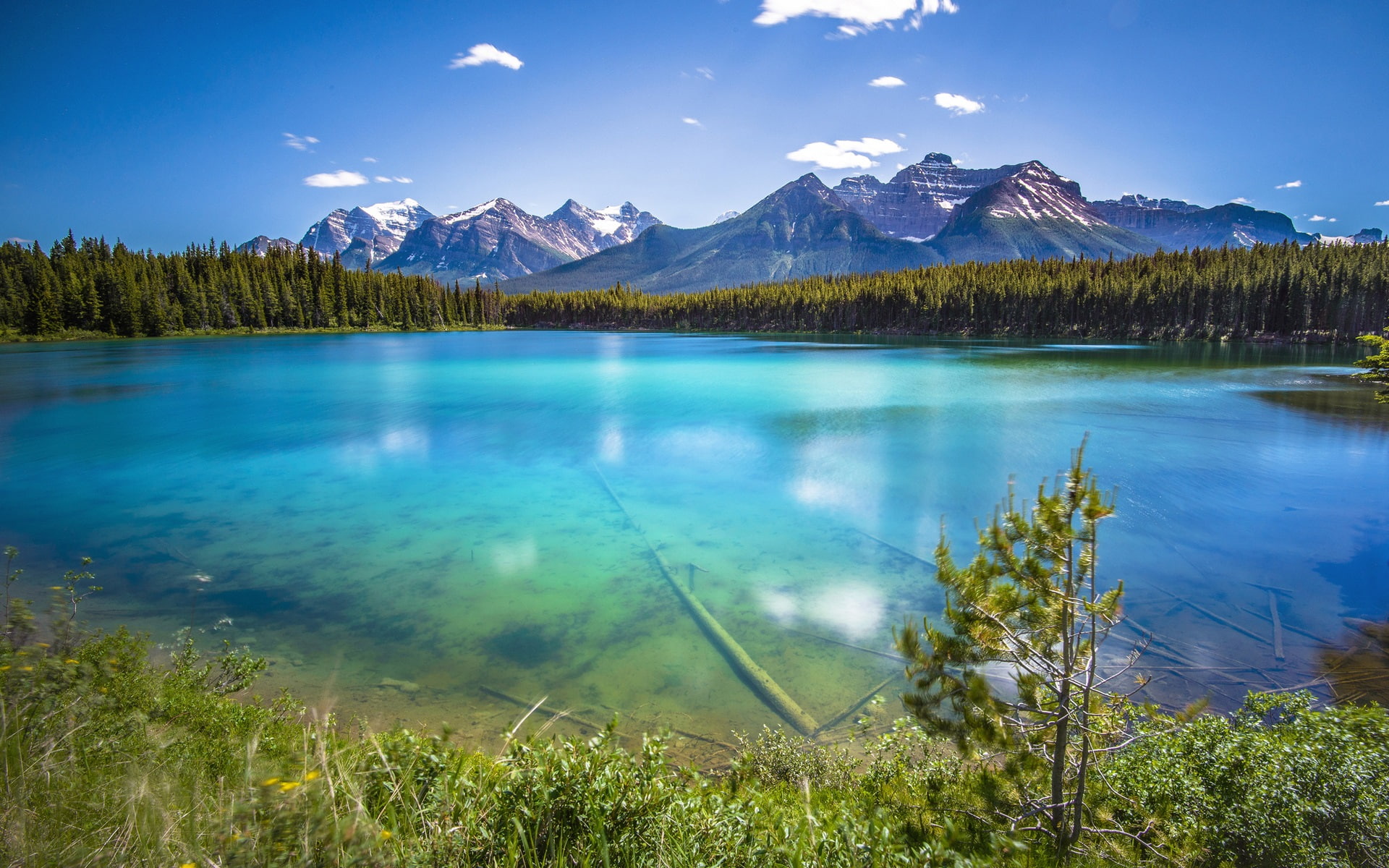 Lake, Water, Transparency, Mountains, 1080P, Forest, HD Wallpaper