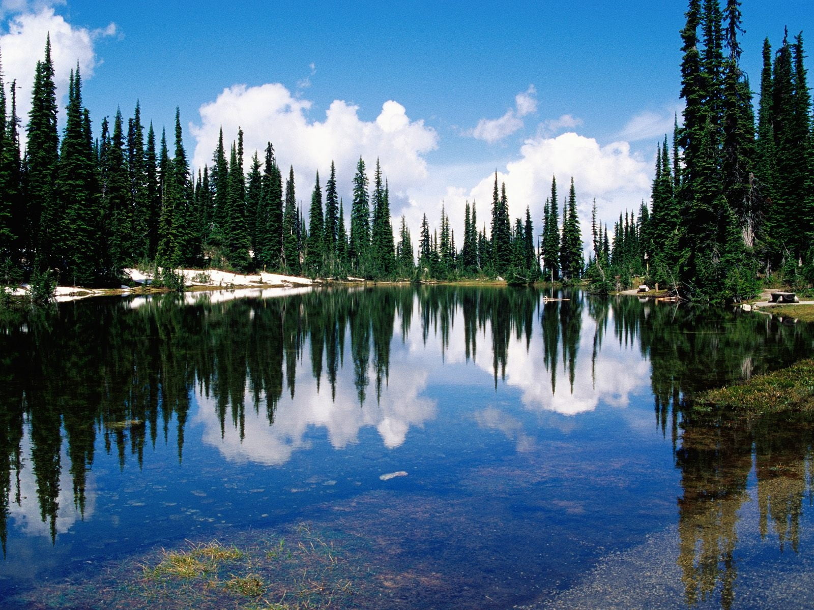coast, day, outdoors, tranquil Scene, tree, water, landscape, rocky Mountains, nature, banff National Park, non-Urban Scene, plant, lake, cloud - Sky, uSA, HD Wallpaper