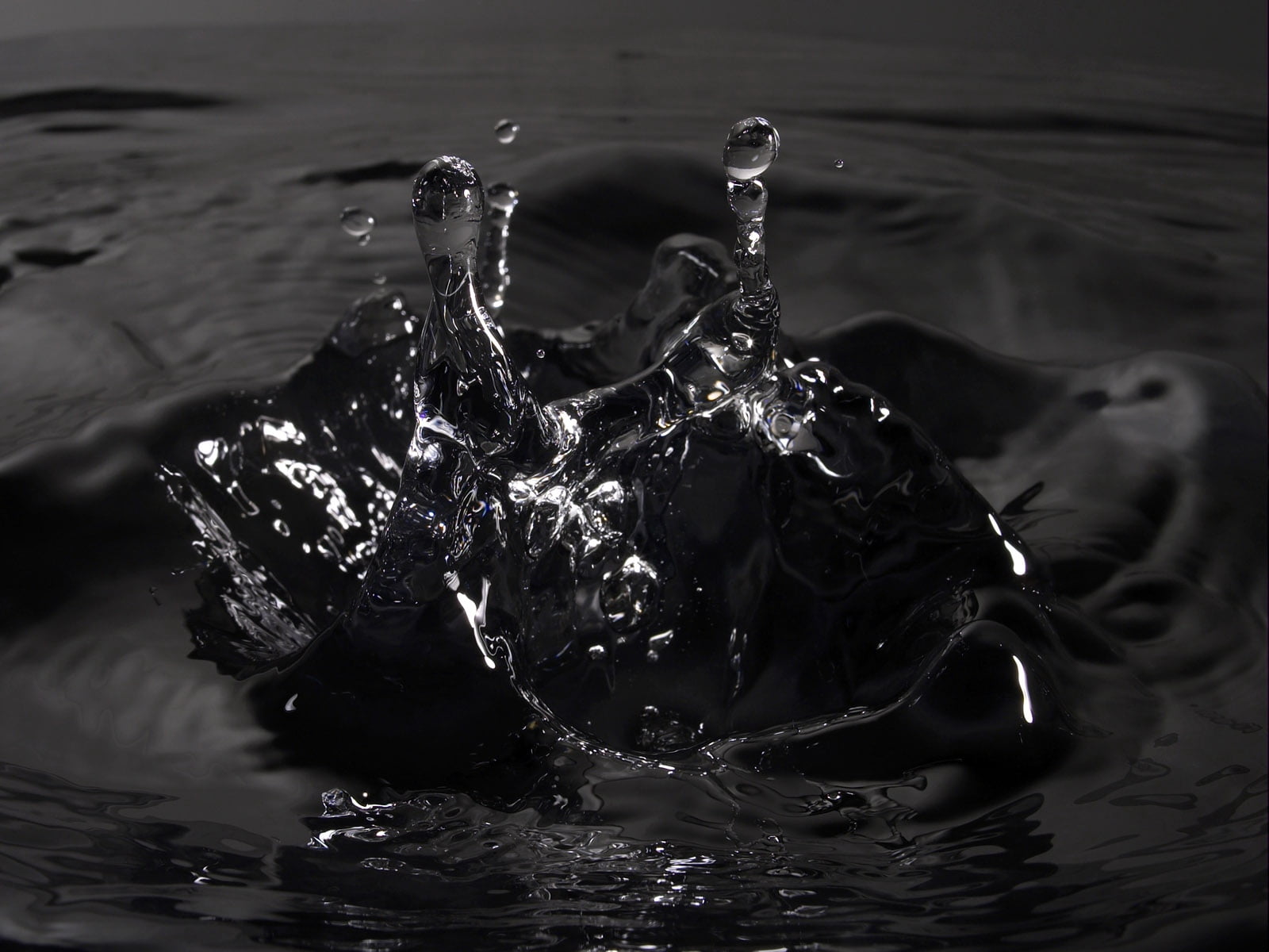 no People, freshness, black Color, purity, lake, refreshment, animal wildlife, liquid, rippled, cold - Temperature, water spray, falling, high-speed photography, HD Wallpaper