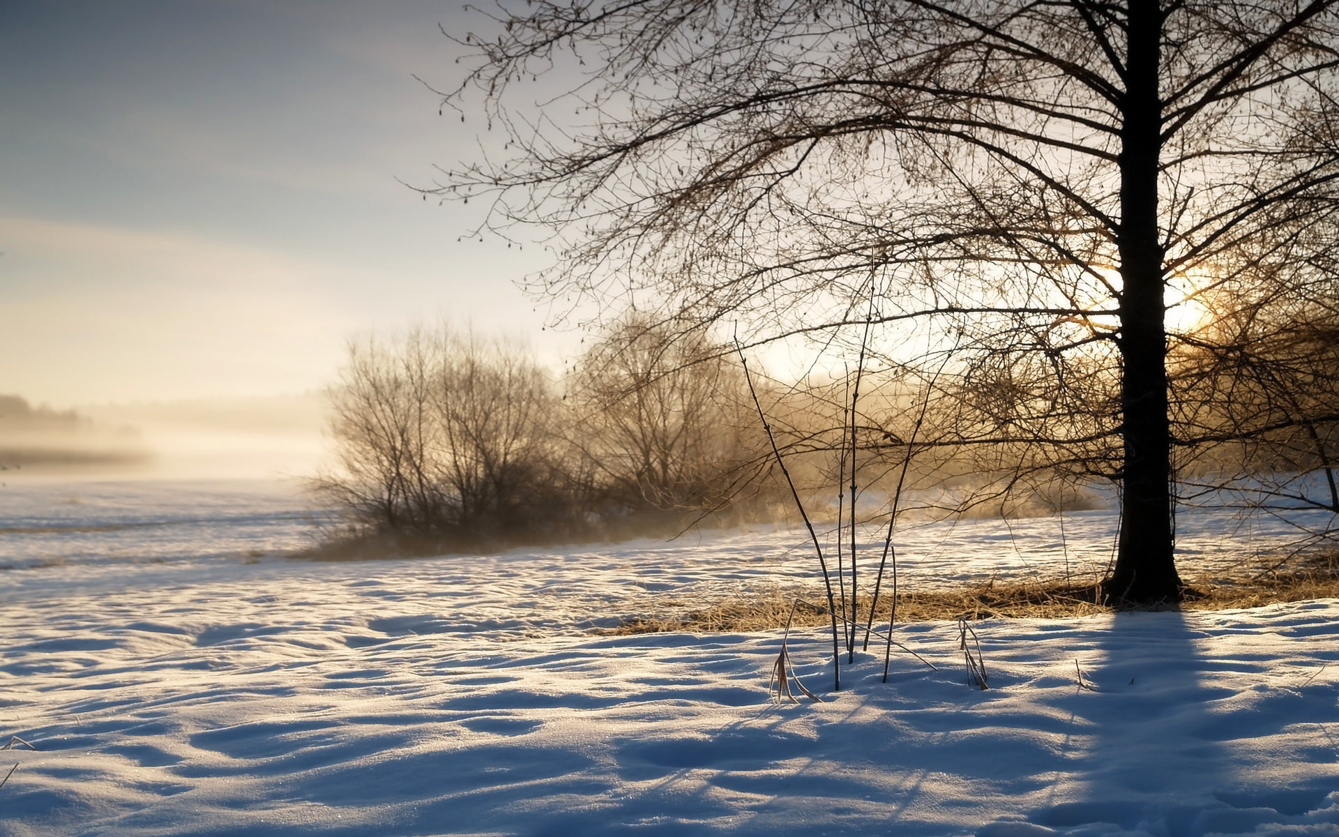tree, winter, the sky, couples, sparkles, frost, cold, morning, 1080P, evaporation, sunrise, snow, shadows, haze, trees, the bushes, grass, HD Wallpaper