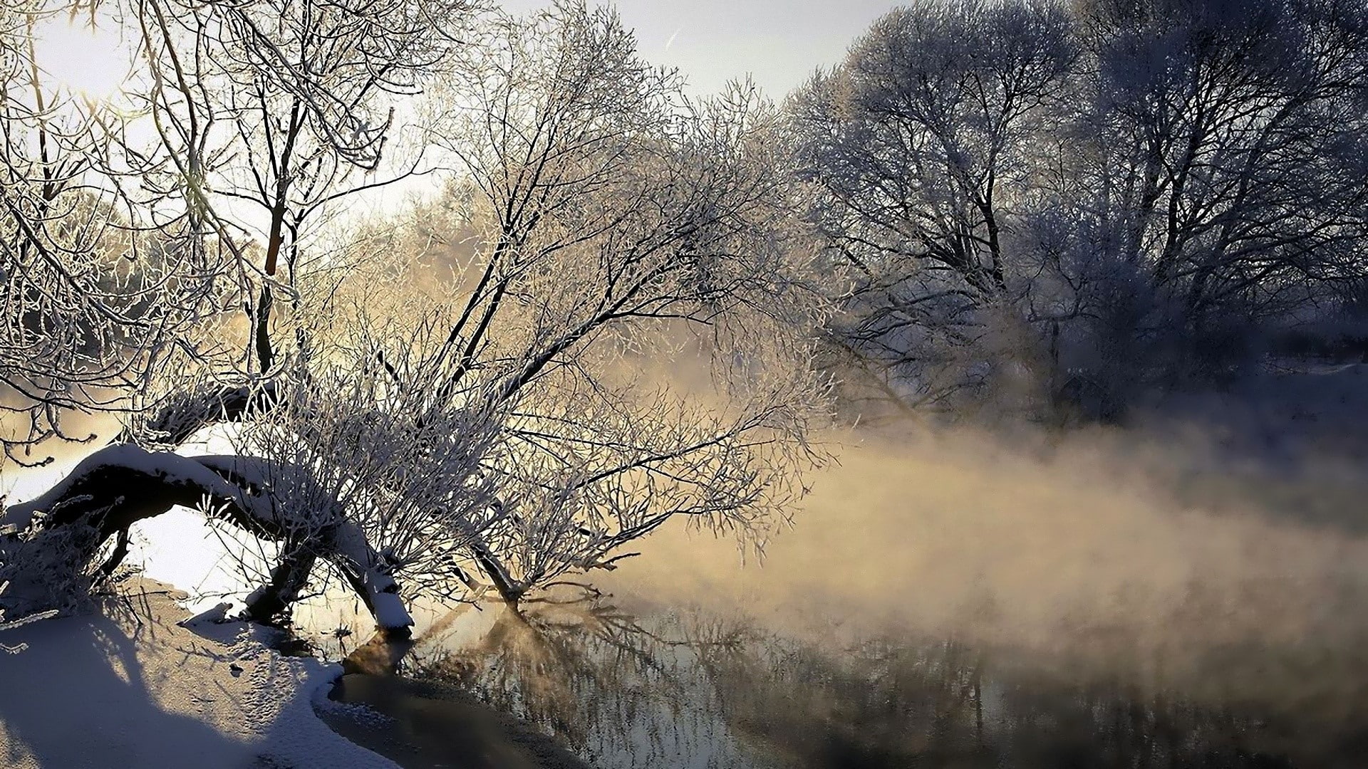 Evaporation, tranquil scene, Cold, Dawn, winter, Fog, snow, no people, land, 1080P, Tree, branch, bare tree, sky, scenics - nature, Hoarfrost, tranquility, HD Wallpaper