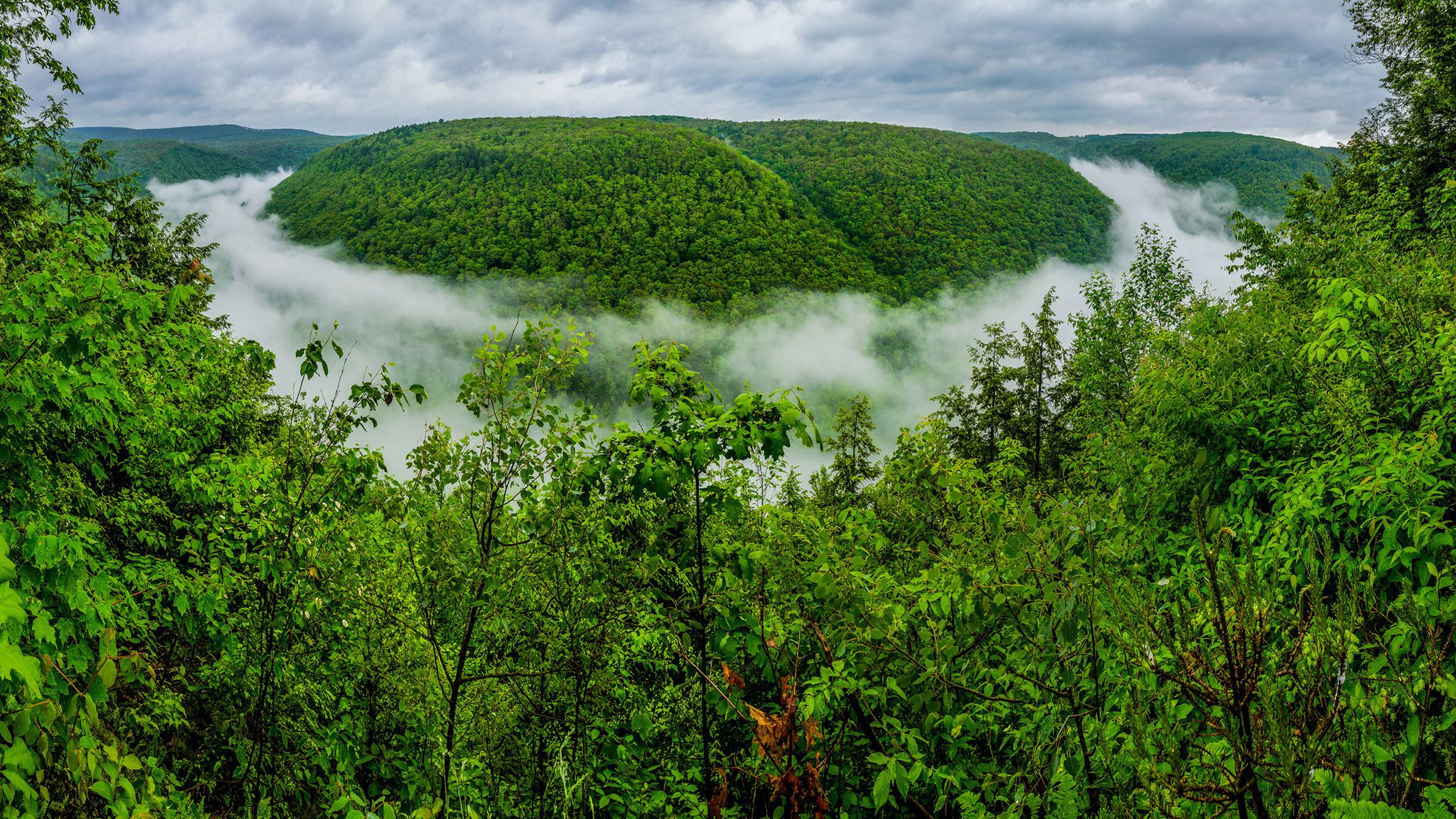 outdoors, grand, cloud - sky, canyon, environment, rainforest, tranquil scene, lush foliage, growth, plant, mountain, pennsylvania, foliage, field, fog, HD Wallpaper
