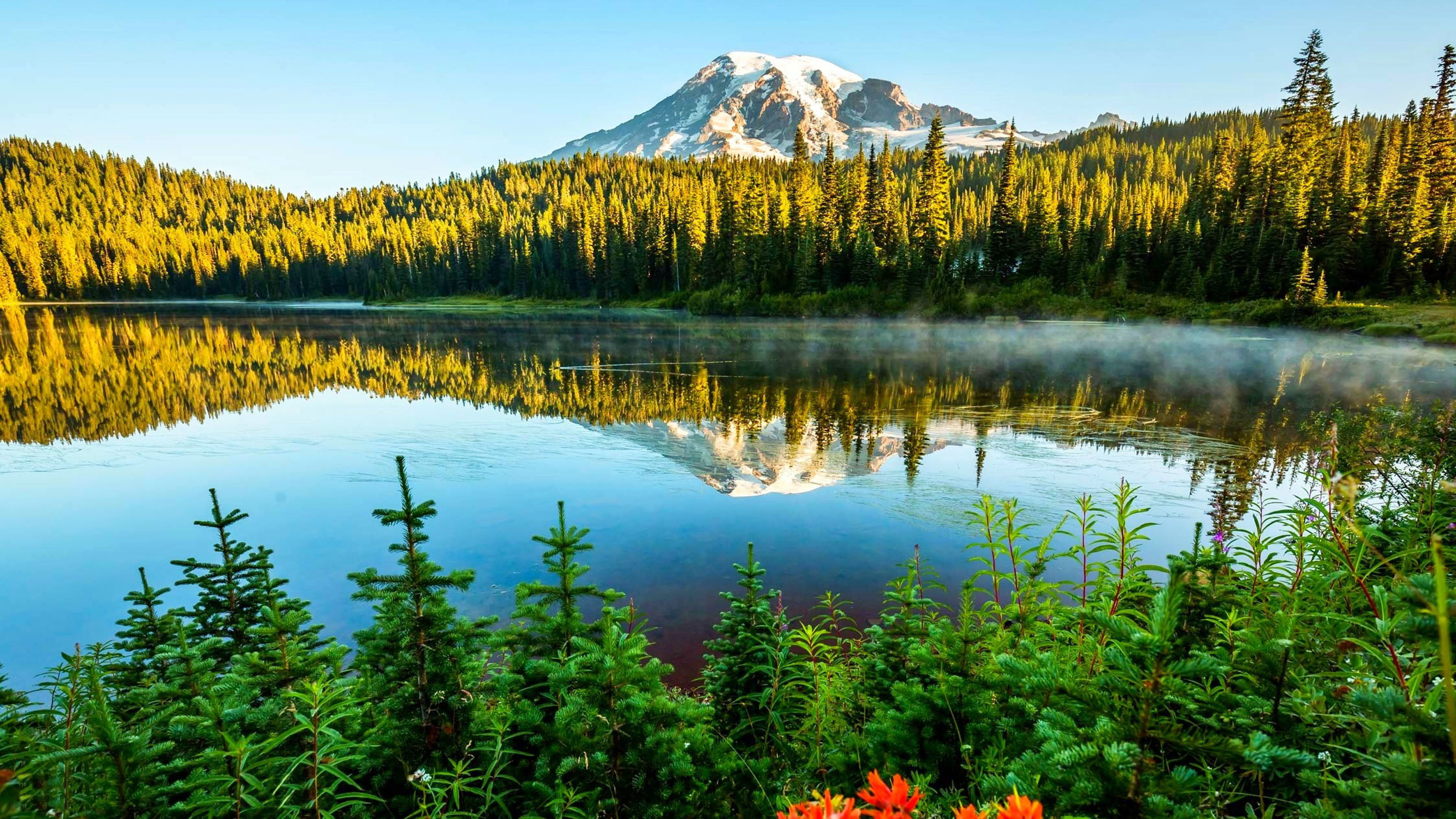landscape, green color, scenics - nature, outdoors, tree, pine, hd, blue, sky, coniferous tree, green, day, lake, beauty in nature, evaporation, plant, HD Wallpaper