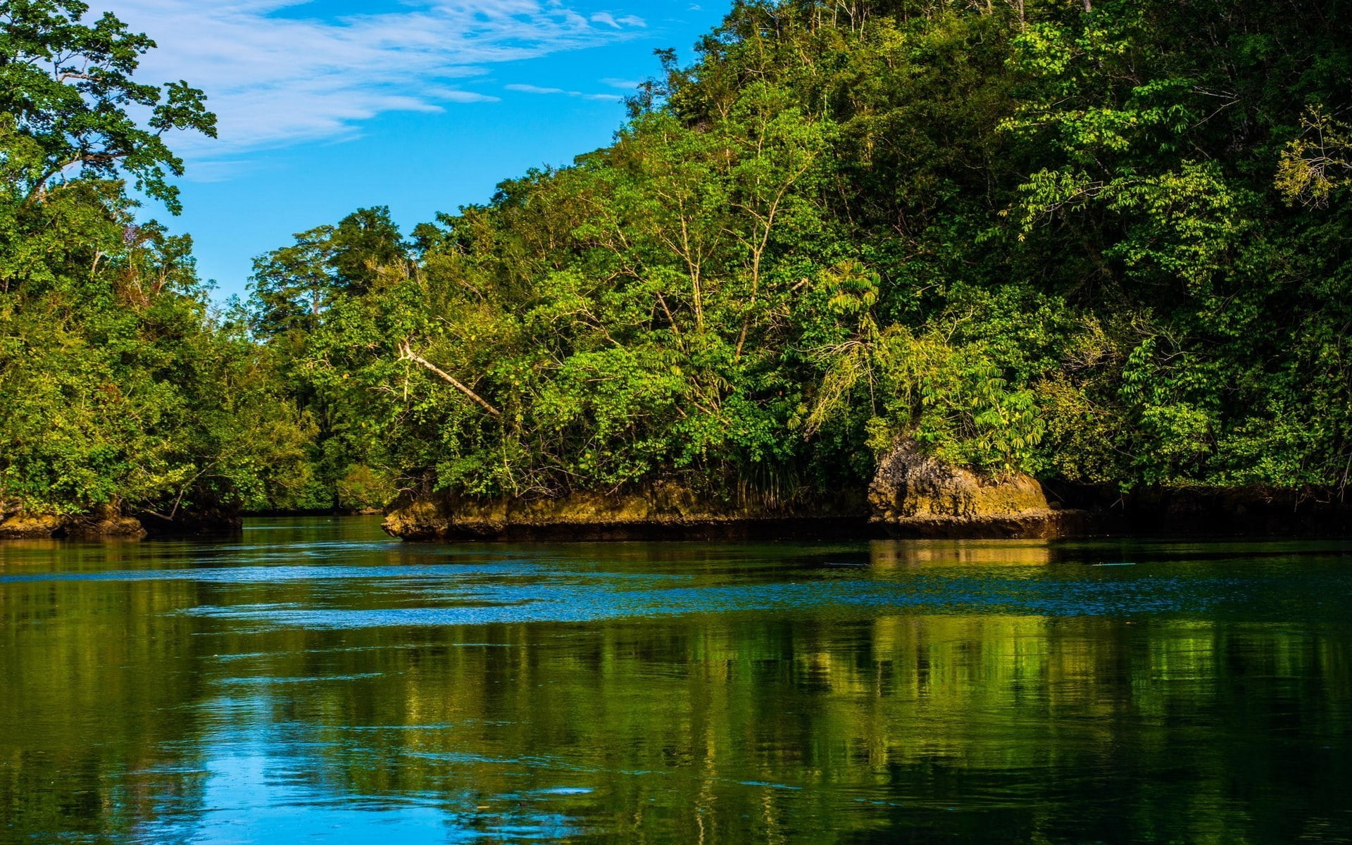 non-urban scene, growth, plant, no people, foliage, lake, green color, outdoors, forest, reflection, tranquil scene, beauty in nature, nature, rainforest, HD Wallpaper