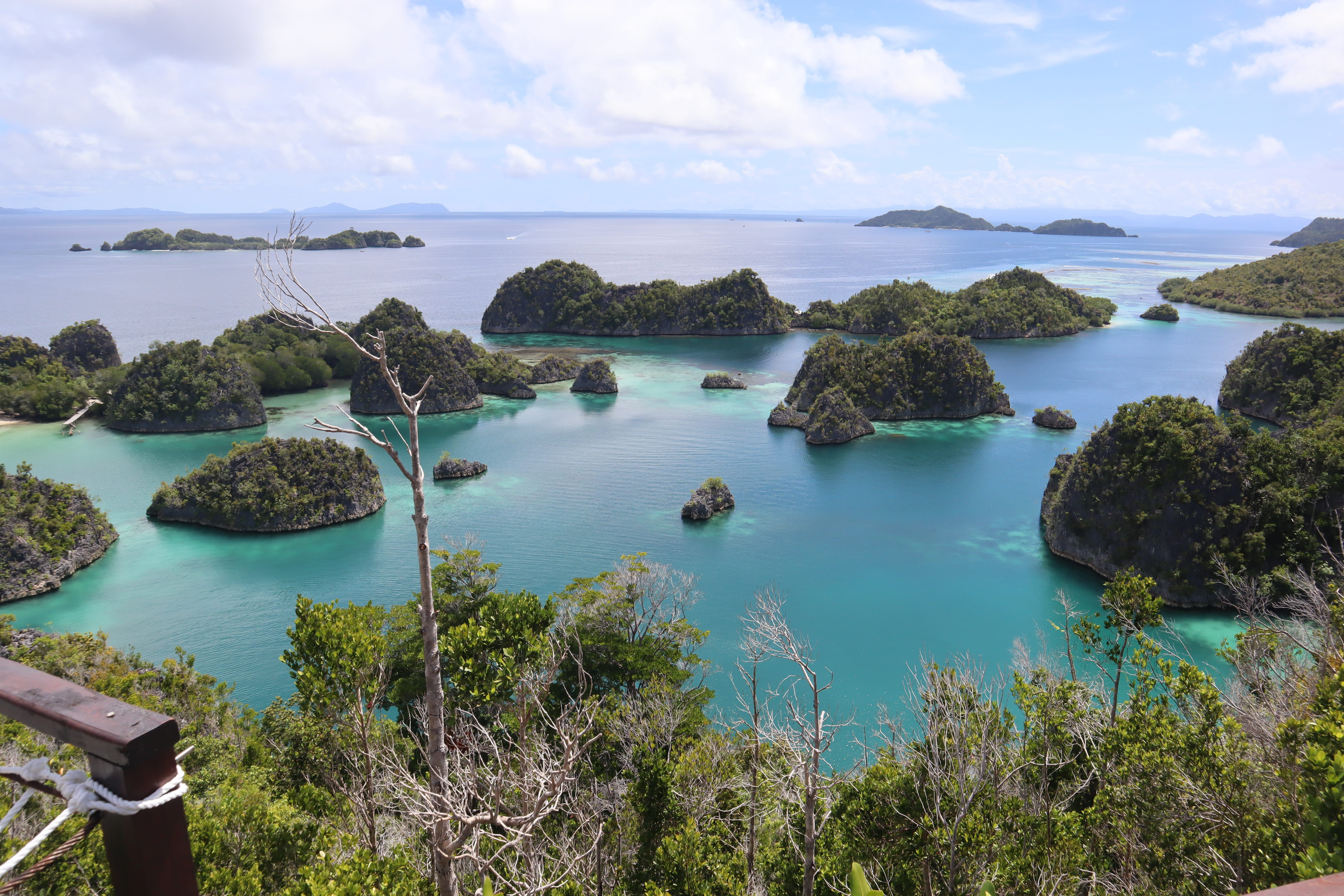 raja ampat, tranquility, beach, cloud - sky, rock, rock - object, water, scenics - nature, infastpedia, idyllic, tree, wonderful, land, plant, net, day, HD Wallpaper