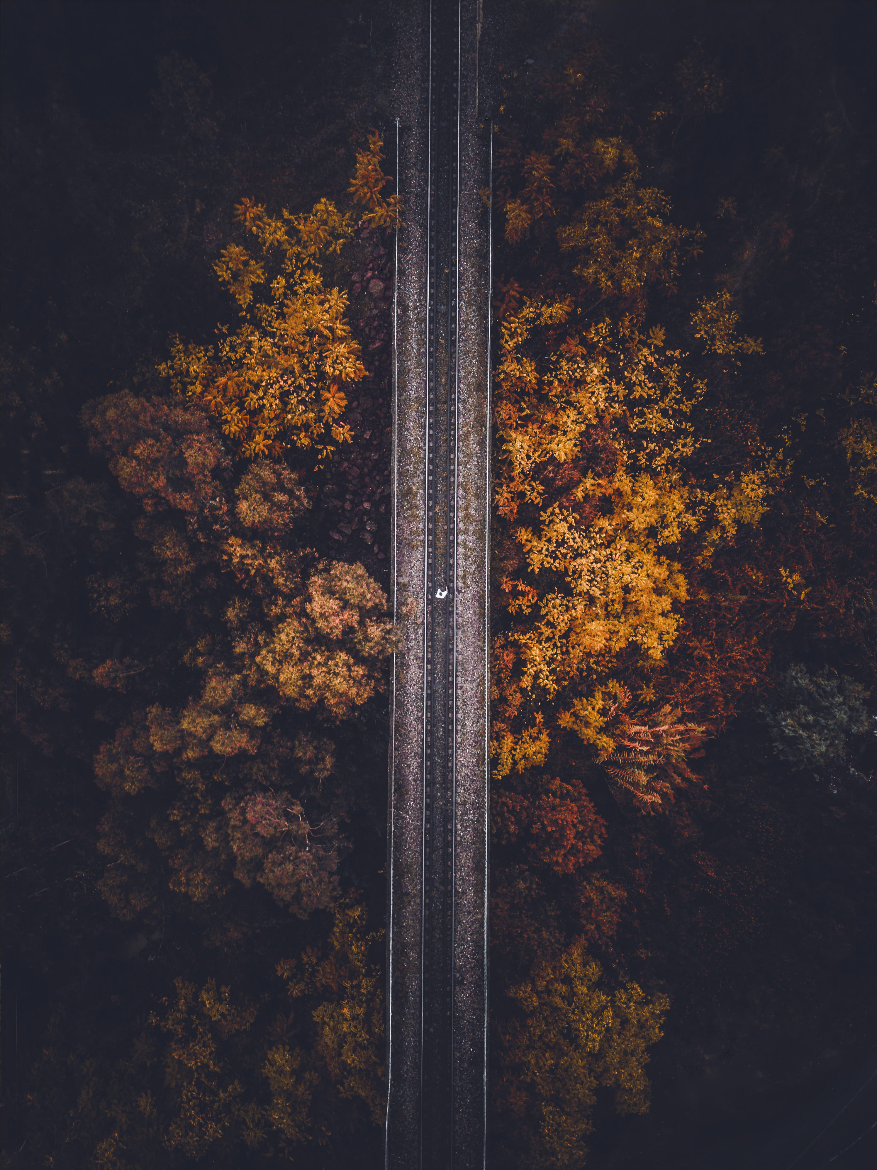 sky, change, orange color, scenics - nature, forest road, shot, hike, land, train, outdoors, drone, autumn, no people, 4K, view, birdseye, beauty in nature, Phone HD Wallpaper