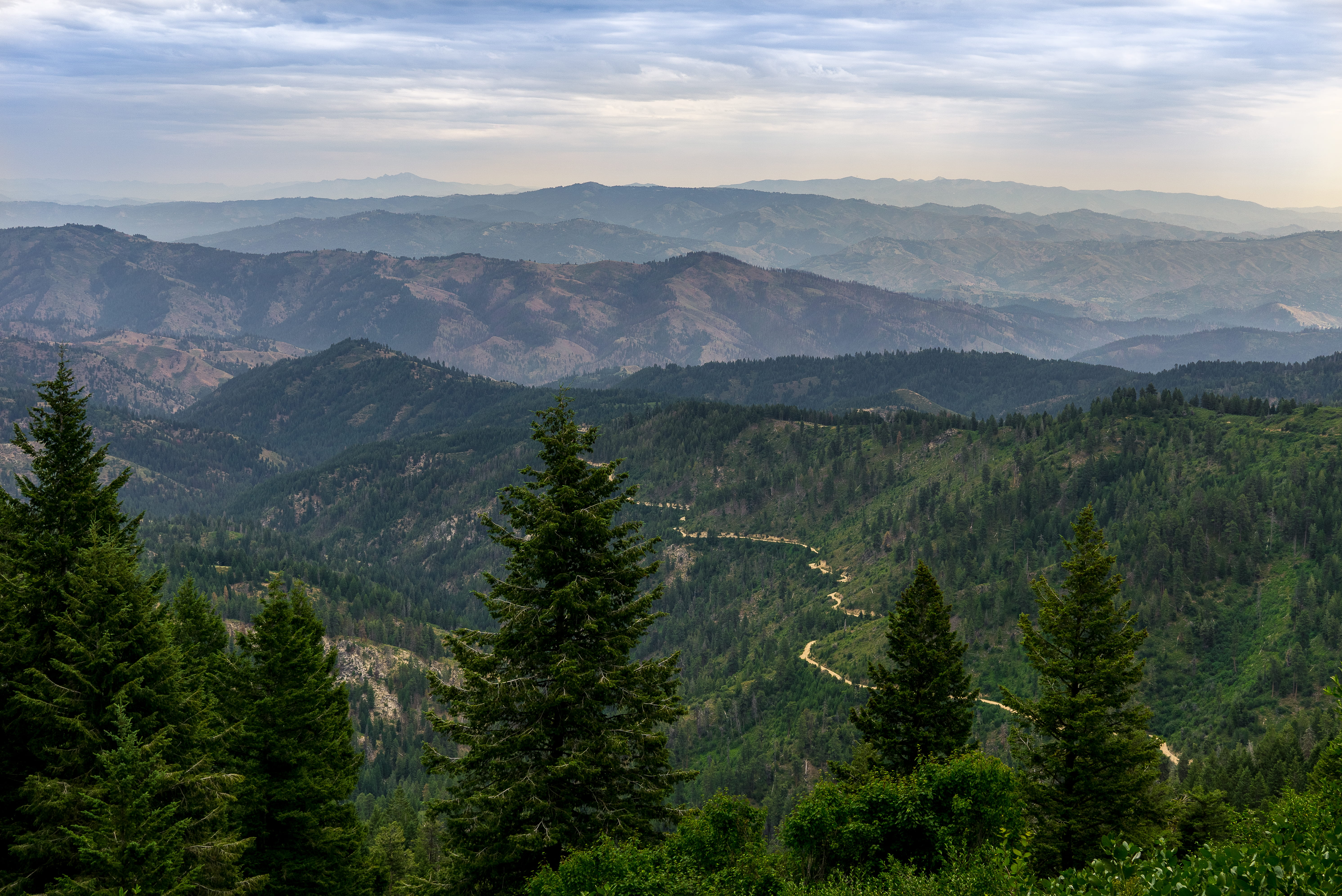 trees, road, tranquil scene, beauty in nature, cloud, photo, scenics - nature, mountain range, pine tree, idaho, eye, s, nature, land, forest, birdseye, HD Wallpaper
