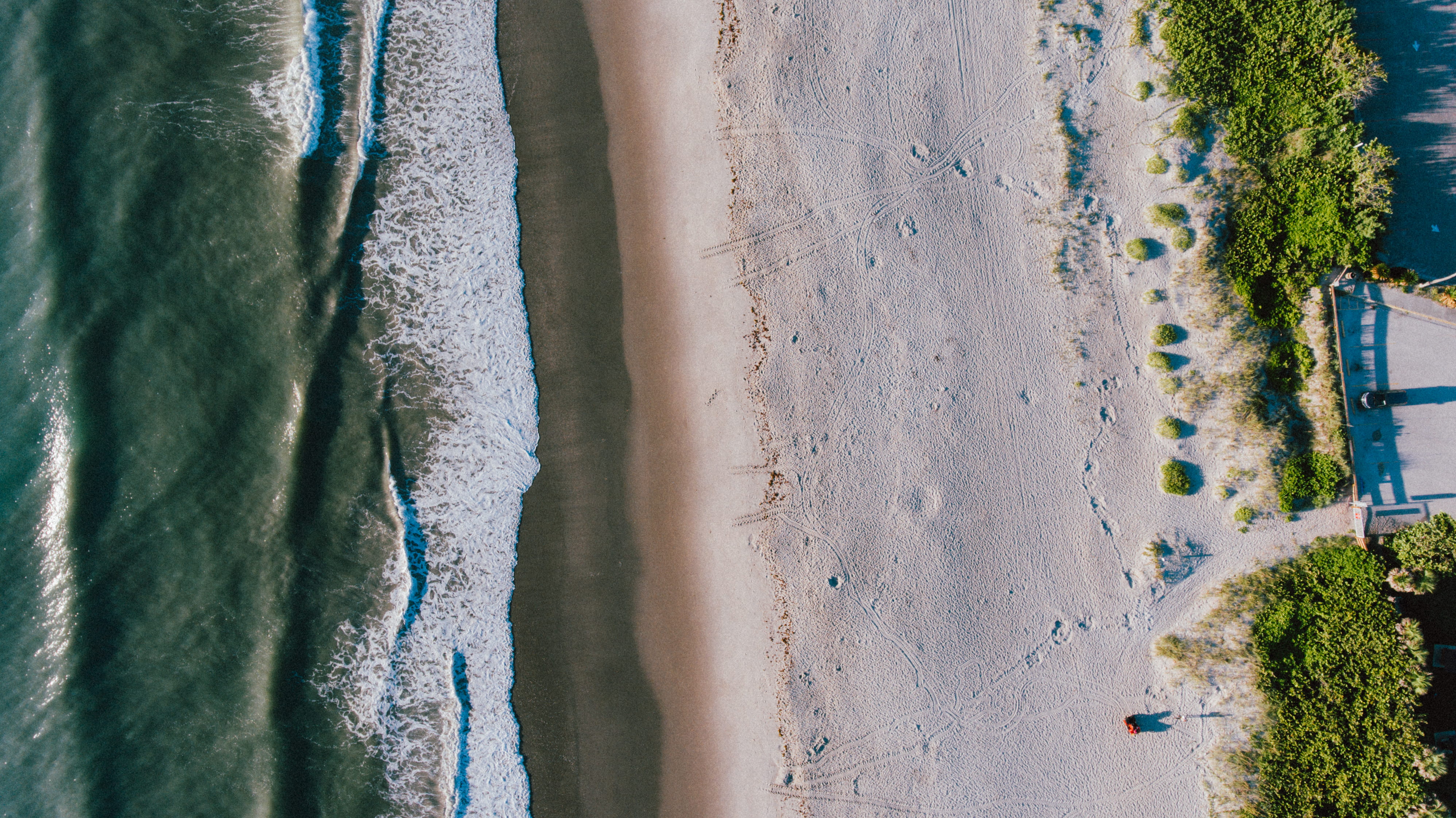 4K, no people, nature, sea, coast, sandscape, dji, untitled, tree, green color, aerial, growth, water, plant, outdoors, drone view, tranquility, beach, HD Wallpaper