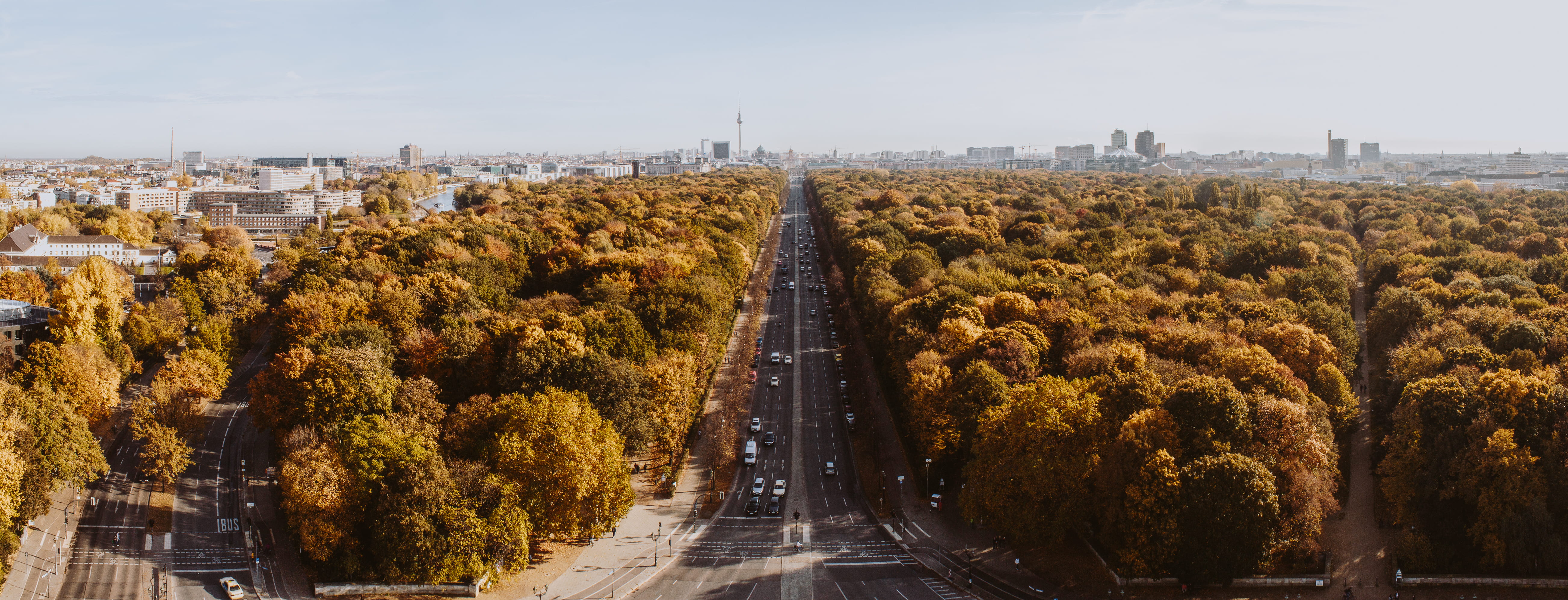 plant, trees, transportation, surrounded, day, road, building, tower, urban skyline, birdseye, cityscape, gray, photography, skyscraper, photograph, tvtower, HD Wallpaper