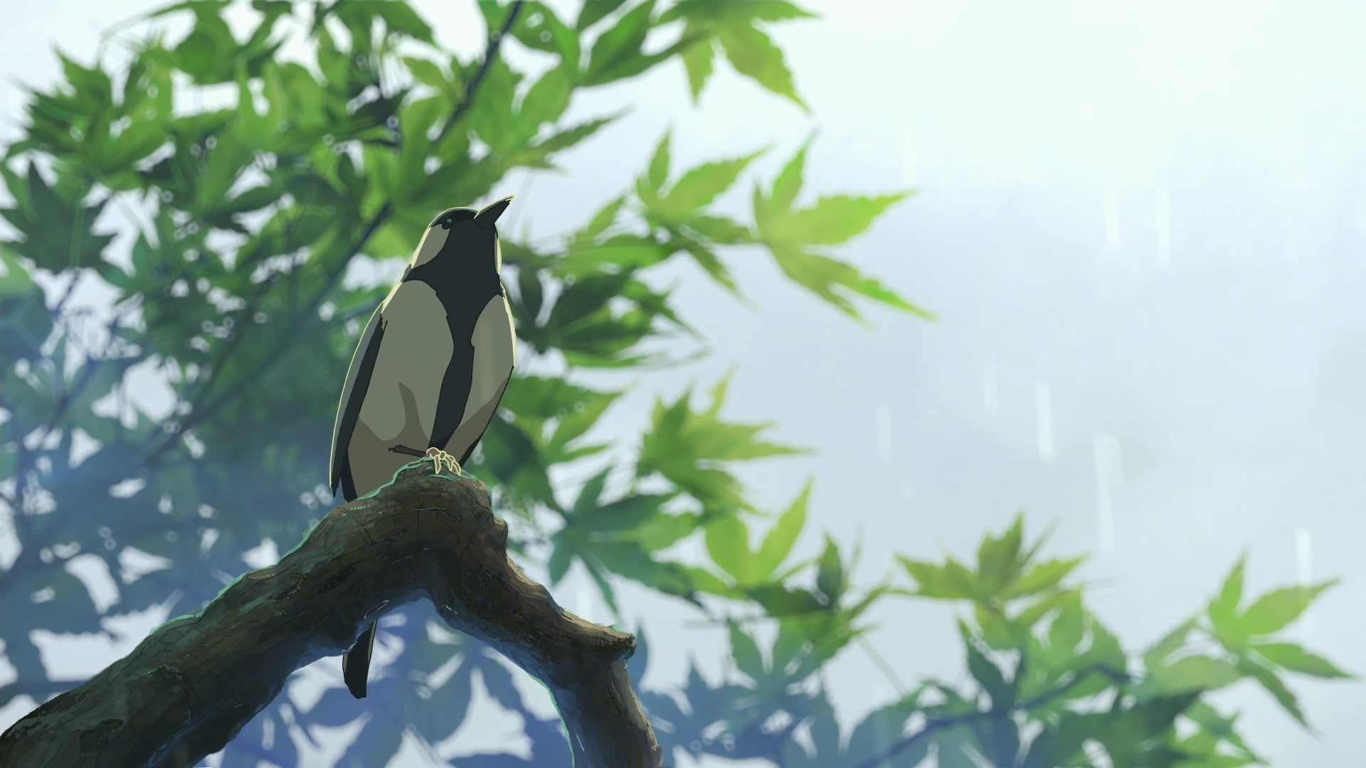 anime, 1080P, The Garden of Words, branch, sunlight, Makoto Shinkai, summer, birds, animals, HD Wallpaper