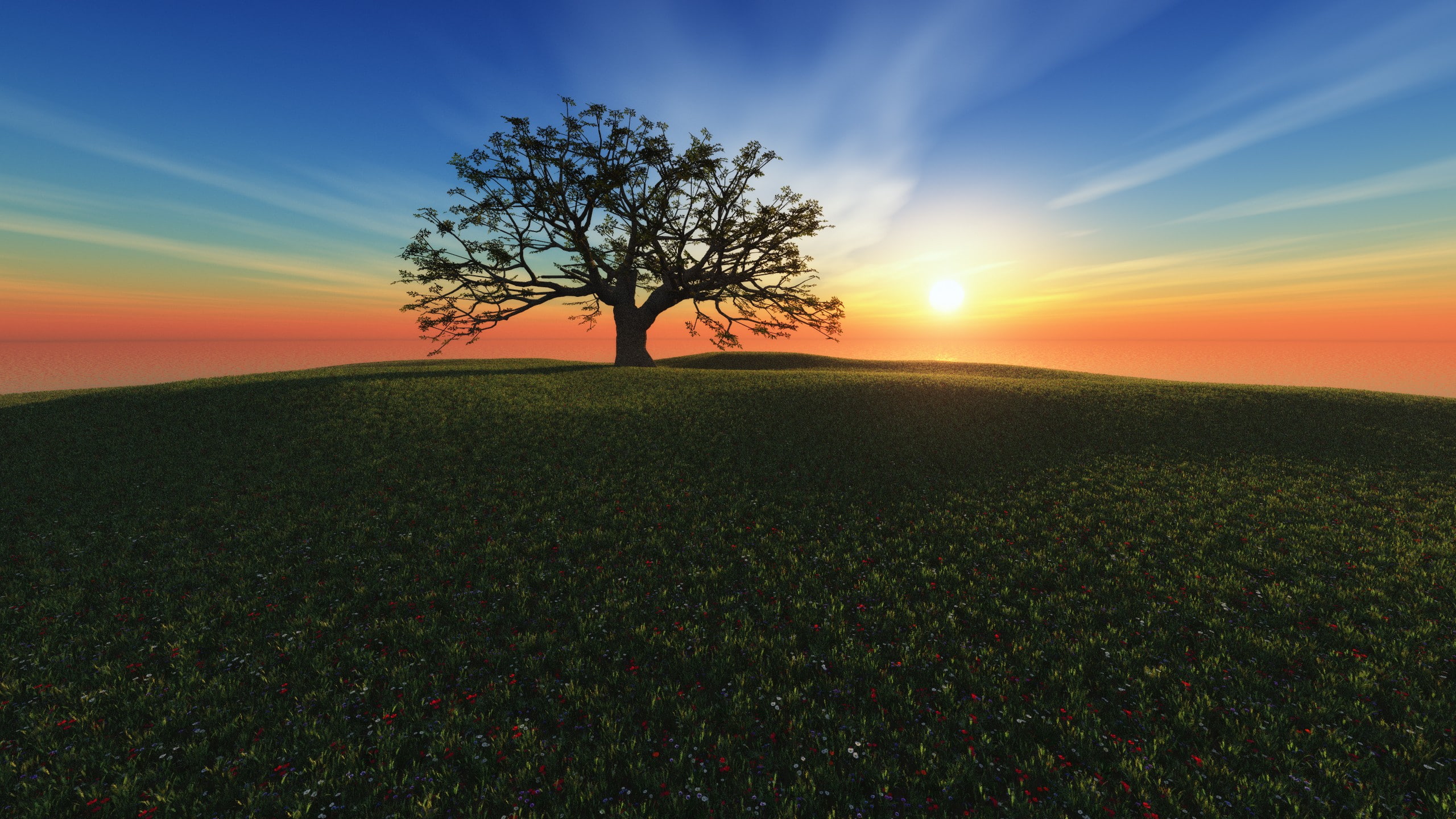 digital art, Trees, 2K, Richard Mohler, HD Wallpaper