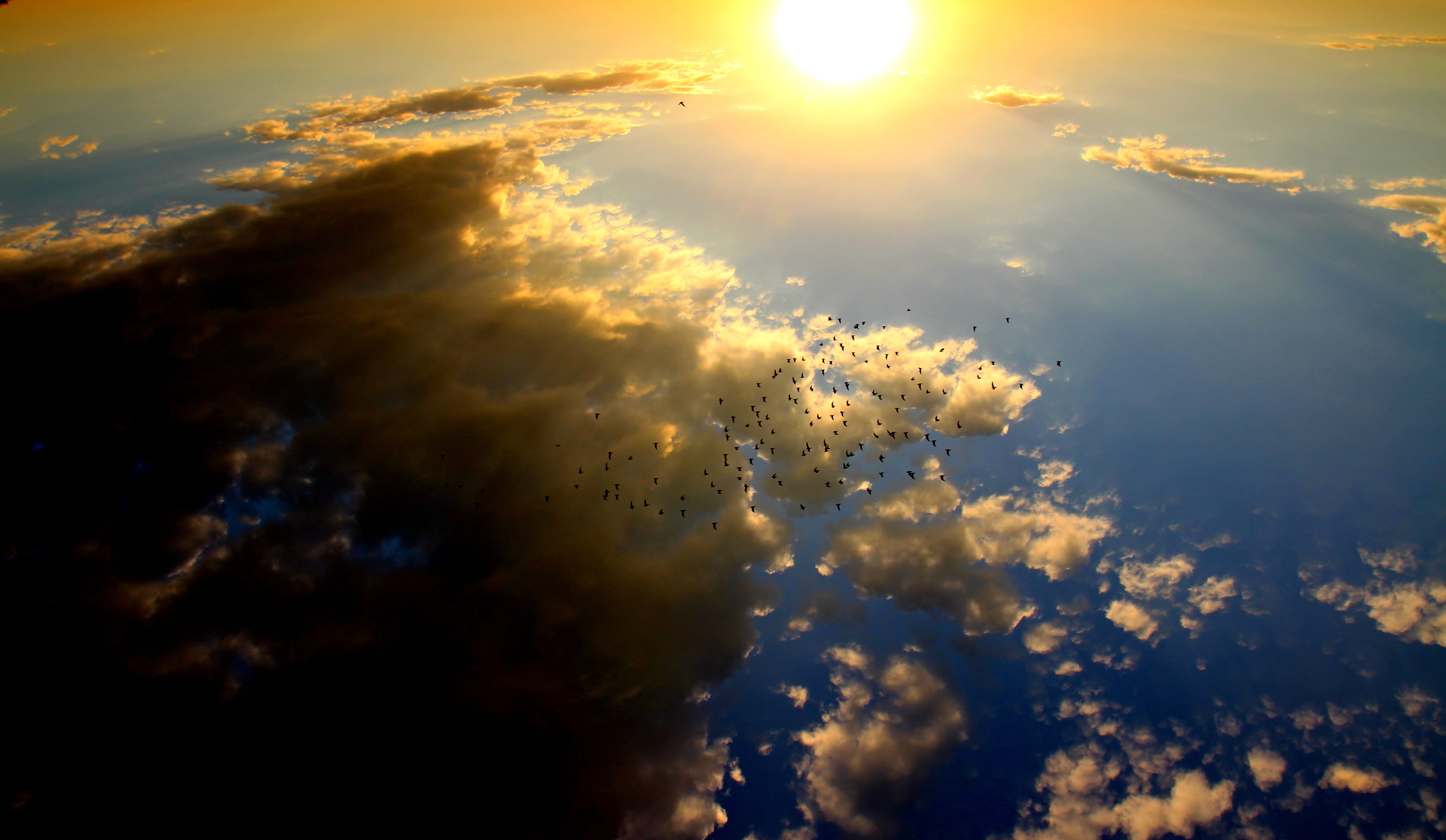 outdoors, low angle view, beauty in nature, idyllic, tranquility, no people, orange color, lens flare, reflection, cloud - sky, sky, 5K, purity, tranquil scene, HD Wallpaper