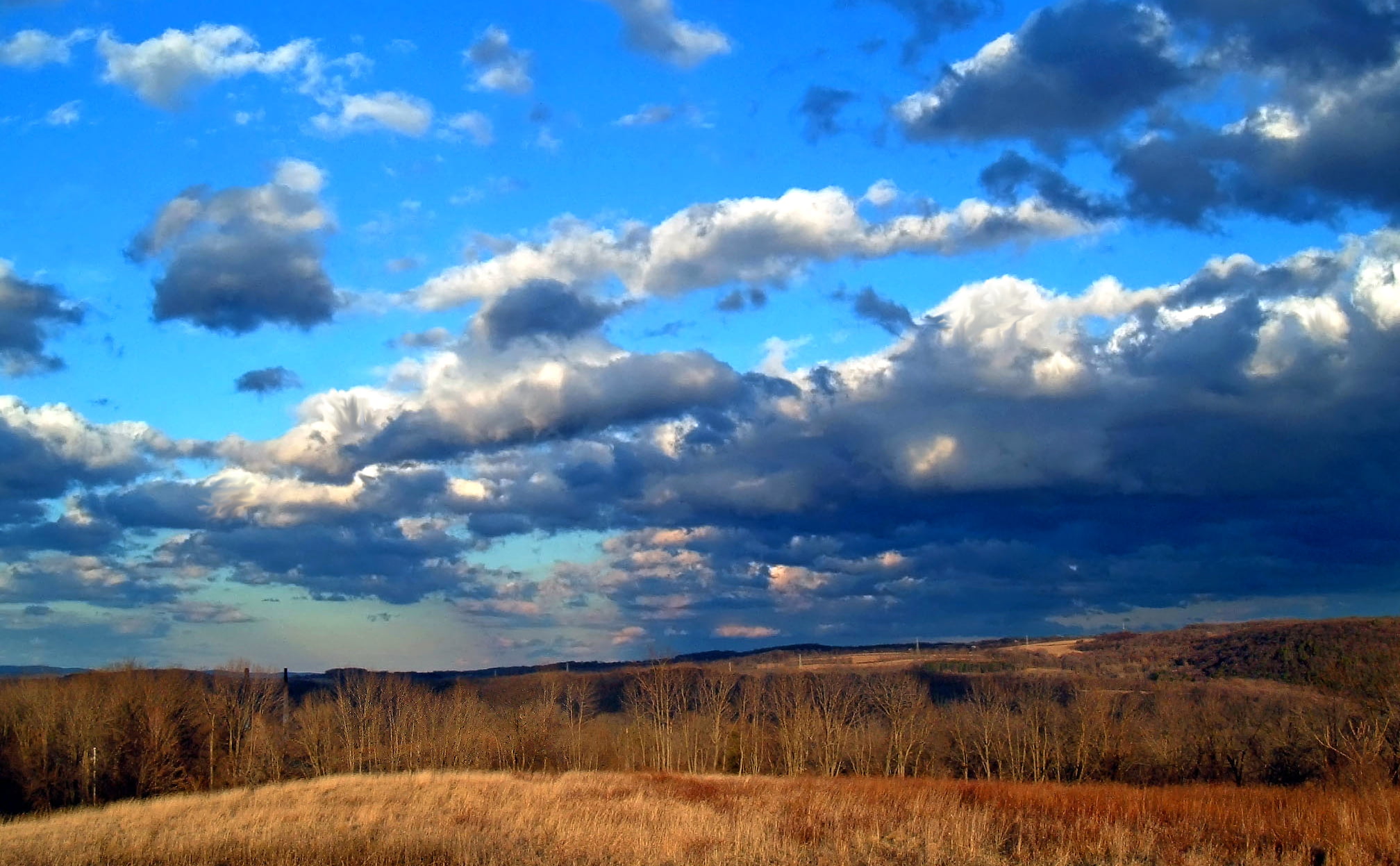 scenics, forest, outdoors, nature, tree, clouds, winter  weather, beauty In Nature, field, dried, stratocumulus, summer, 1080P, White Township, Warren County, HD Wallpaper