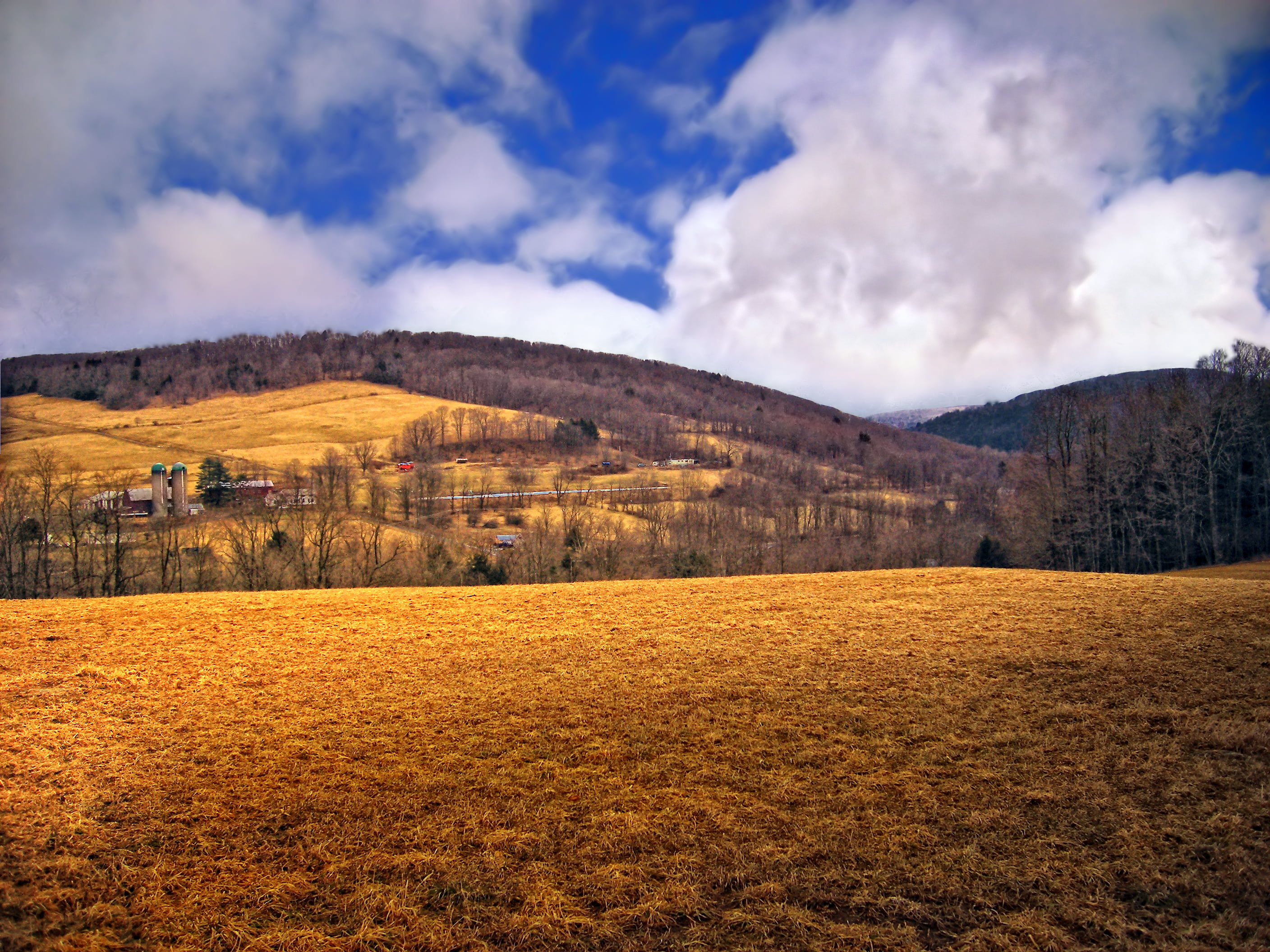 field, scenics, Hillside, Salt Springs State Park, low light, brown, stratocumulus, rural, forest, Susquehanna County, winter, landscape, nature, europe, HD Wallpaper