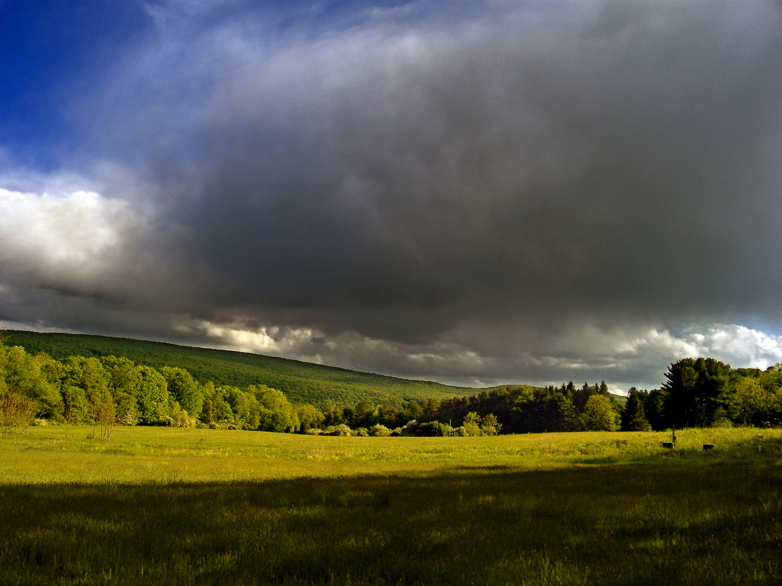 Delaware Water Gap National Recreation Area, cloudy, 2K, forest, field, rural Scene, green, daytime, meadow, stratocumulus, sky, cloud - Sky, tress, summer, HD Wallpaper