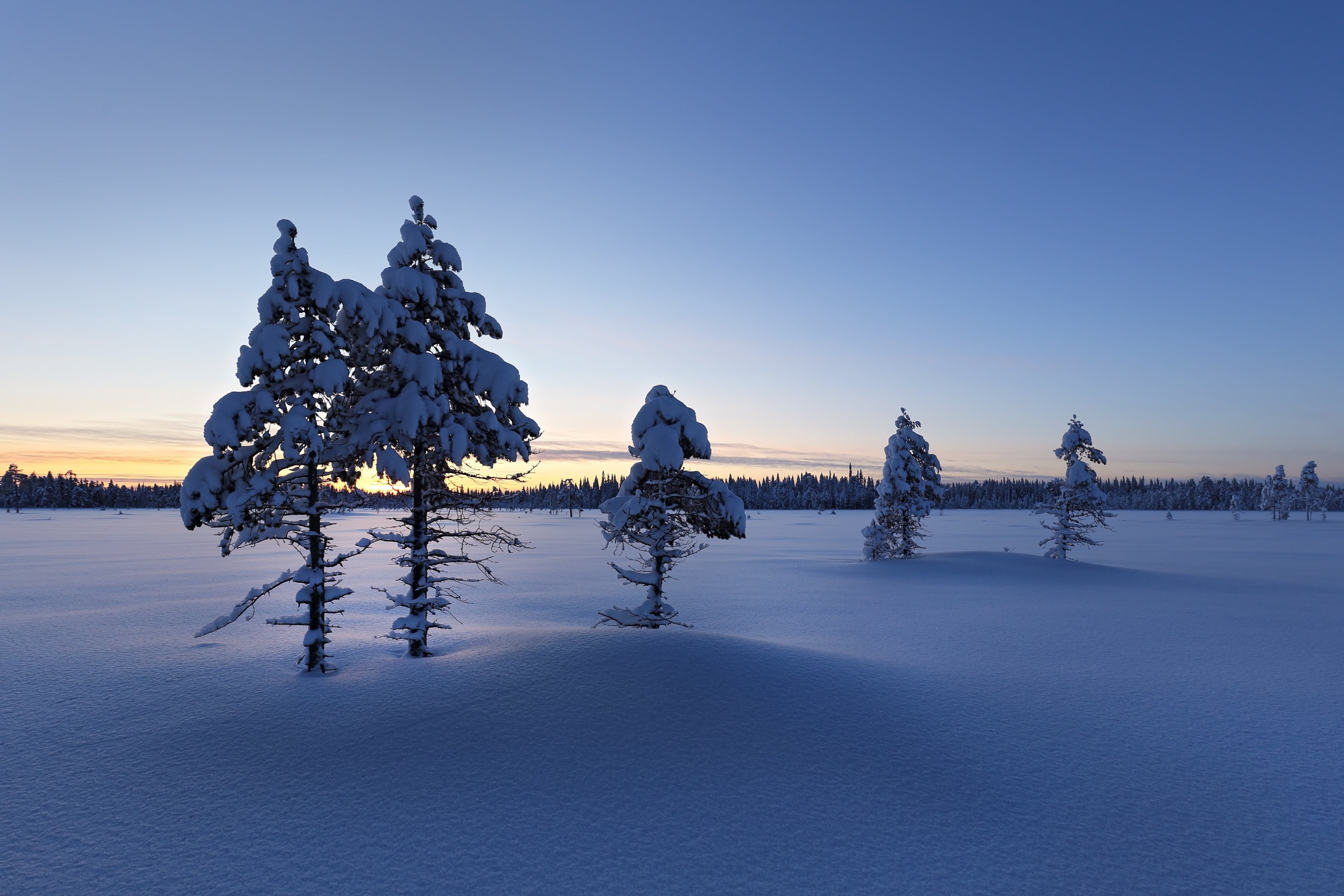 leisure activity, outdoors, real people, winter 4k cool pc, warm clothing, nature, cold temperature, frozen, sky, plant, full length, day, snow, HD Wallpaper