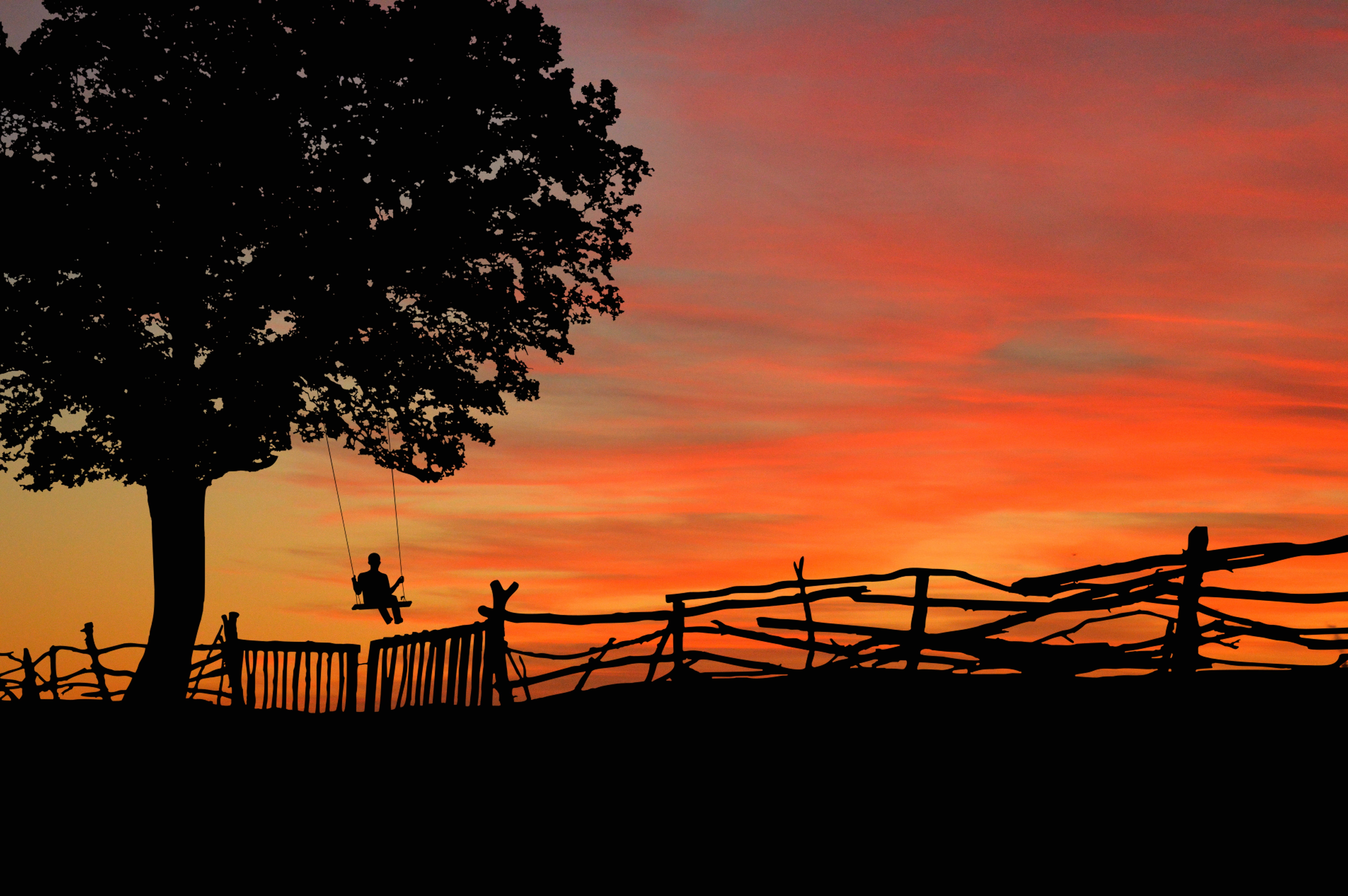 landscape, tree, outdoors, tranquility, growth, barrier, built structure, no people, beauty in nature, silhouette, non-urban scene, railing, mood, evening, HD Wallpaper