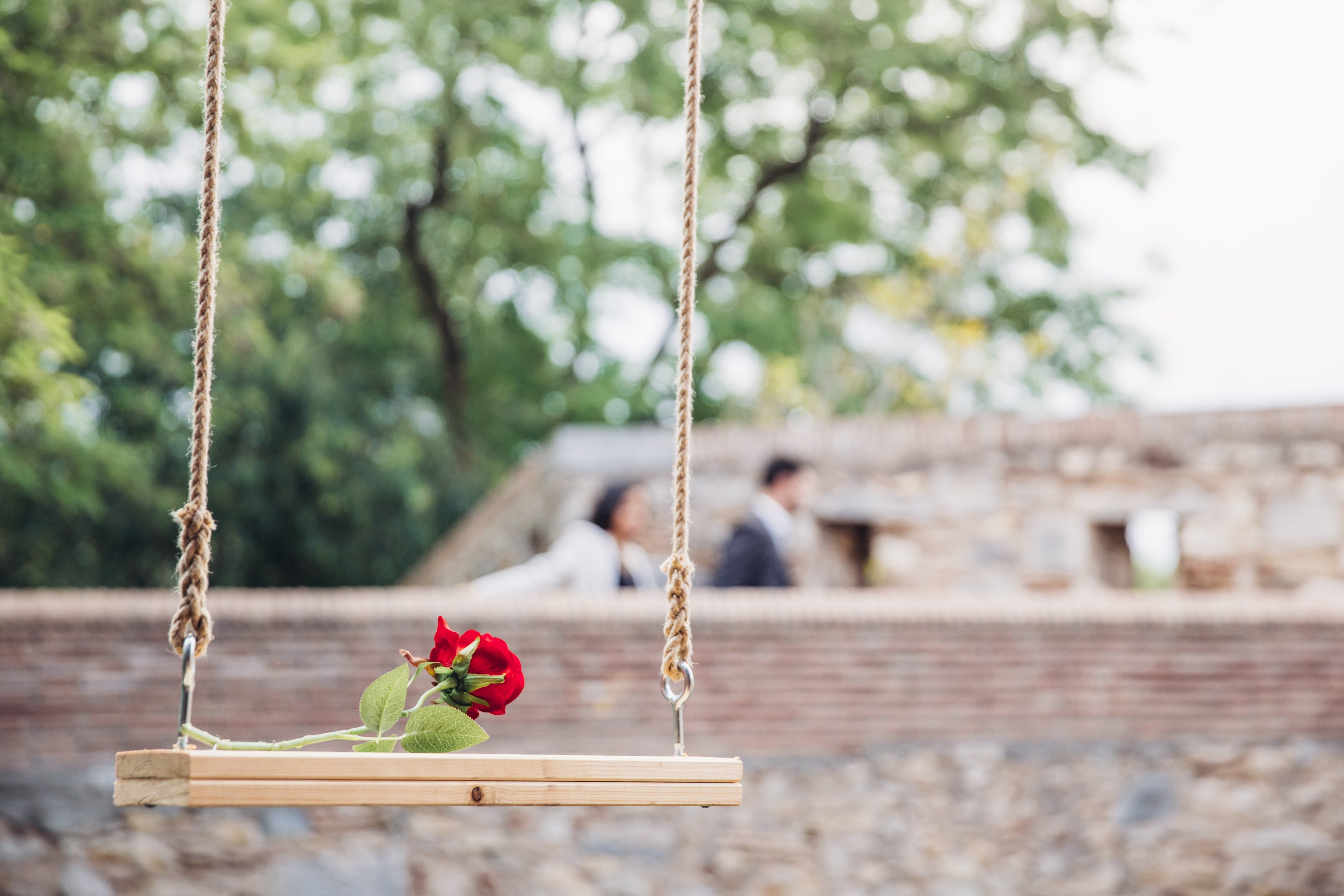 focus on foreground, day, architecture, Rose, photo, flower, hanging, Valentines Day, childhood, freshness, outdoors, selective focus, flowering plant, HD Wallpaper