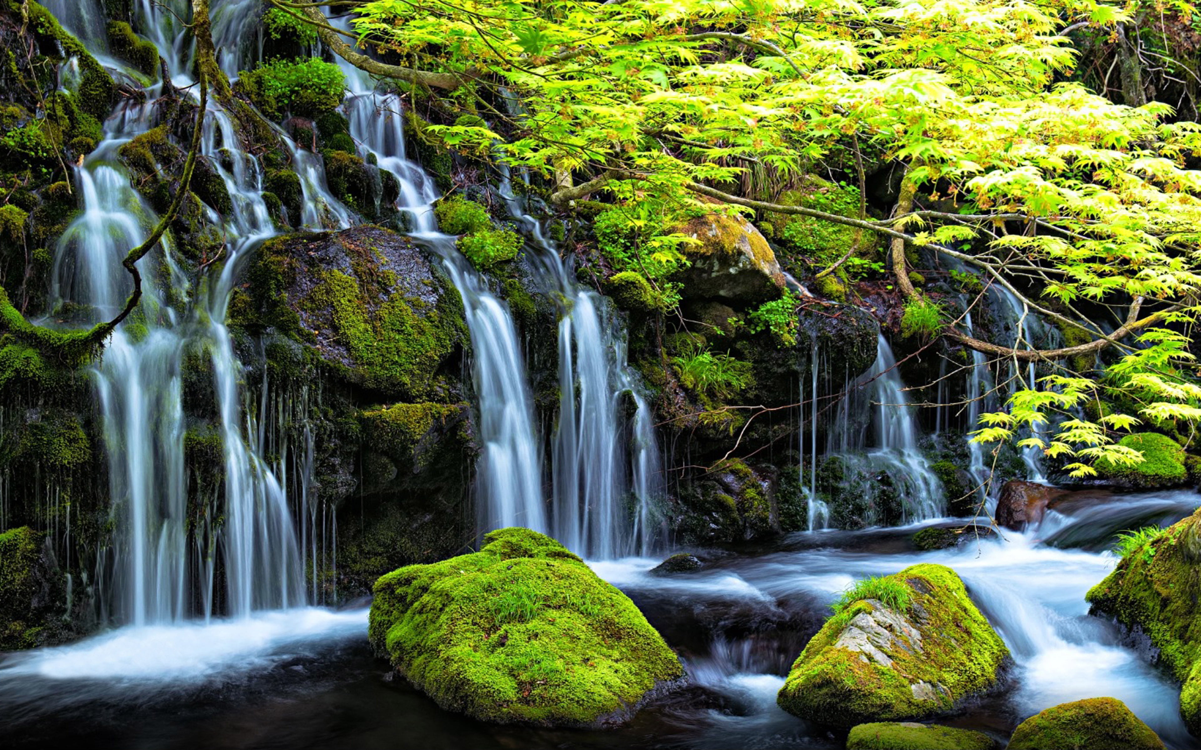 outdoors, power in nature, water, no people, phones, spring, shrubs, rock - object, solid, motion, waterfall, mobile, forest, trees, flowing, HD Wallpaper