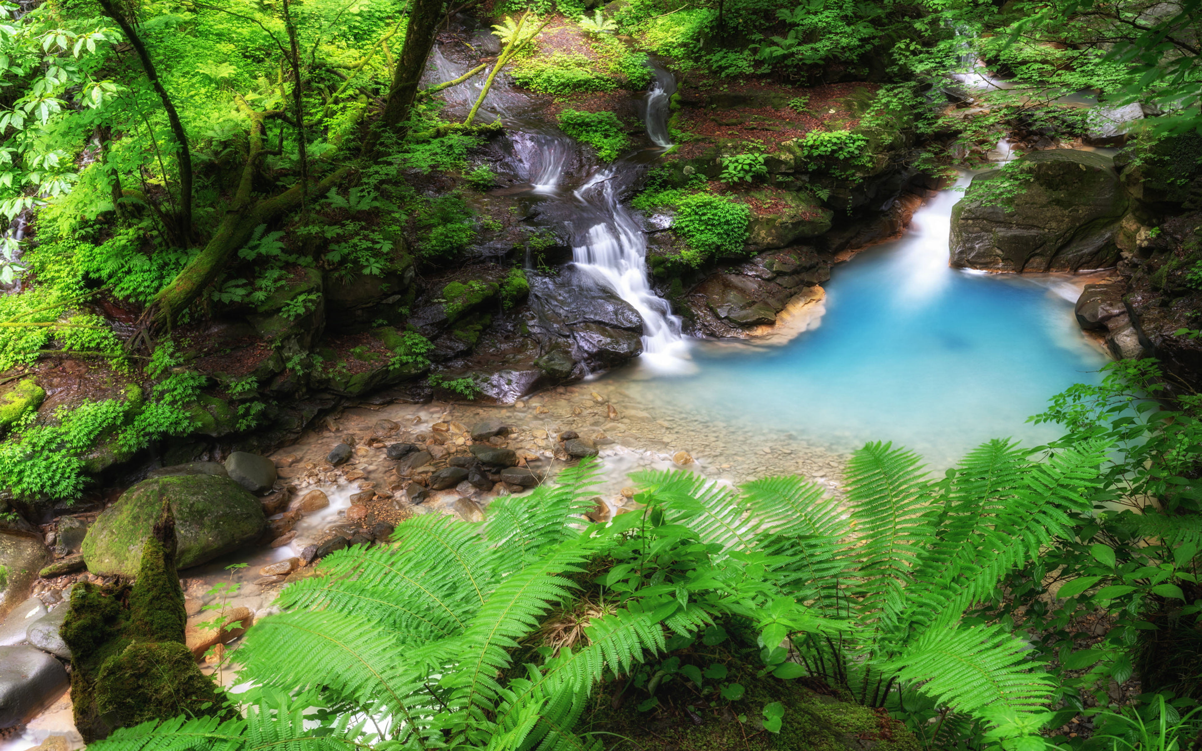 no people, forest, pond, environment, plant, power in nature, land, tochigi, hd, water, 4K, green color, motion, landscape, waterfall, flowing water, nature, HD Wallpaper