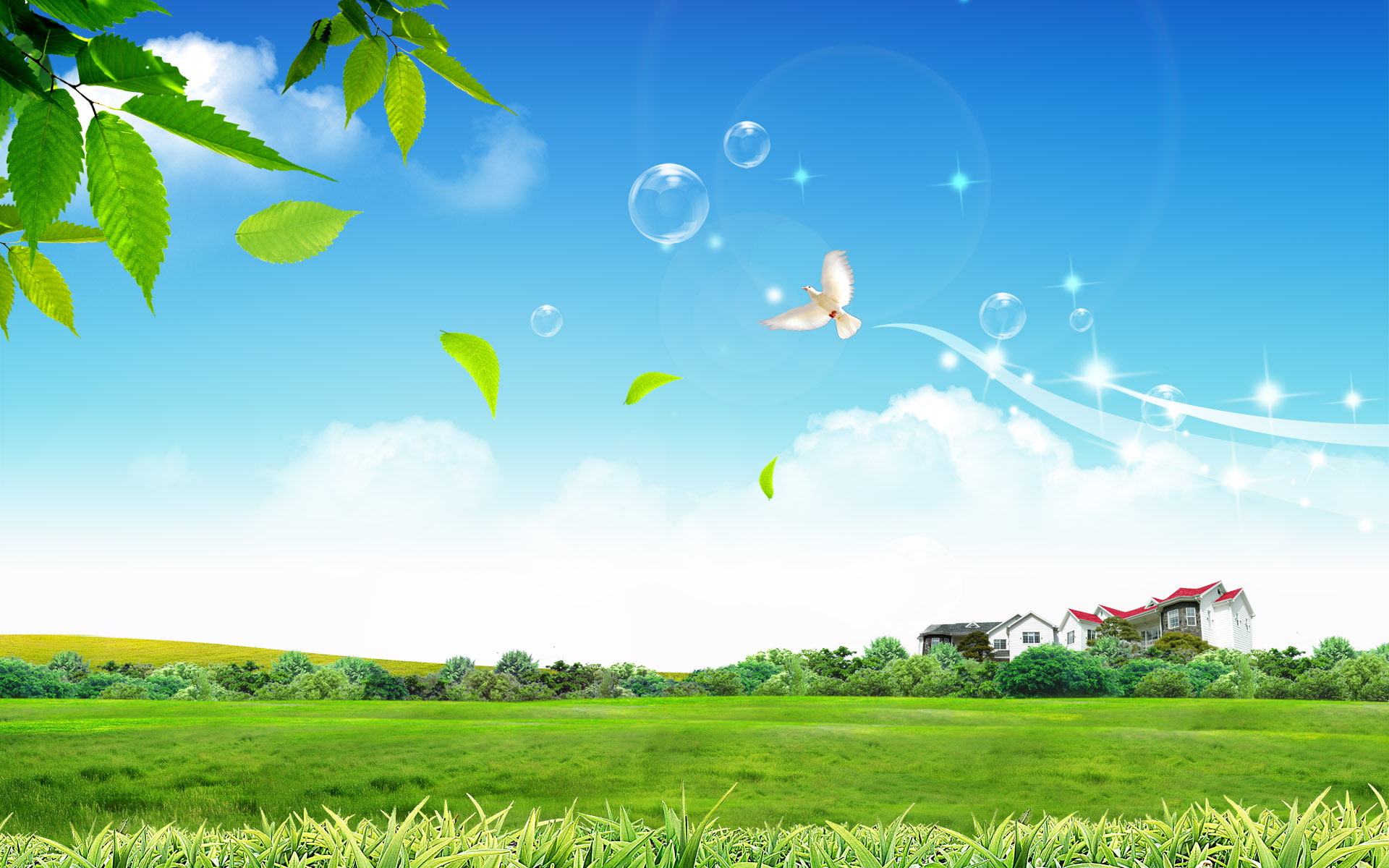 1080P, flying, bird, field, white, illustration, green, grass, life, peaceful, HD Wallpaper