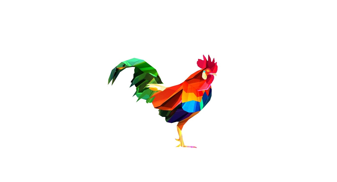 no people, parrot, animal wildlife, Aero, copy space, animal themes, toy, red, one animal, creativity, indoors, vertebrate, motion, gallo, flying, art, HD Wallpaper