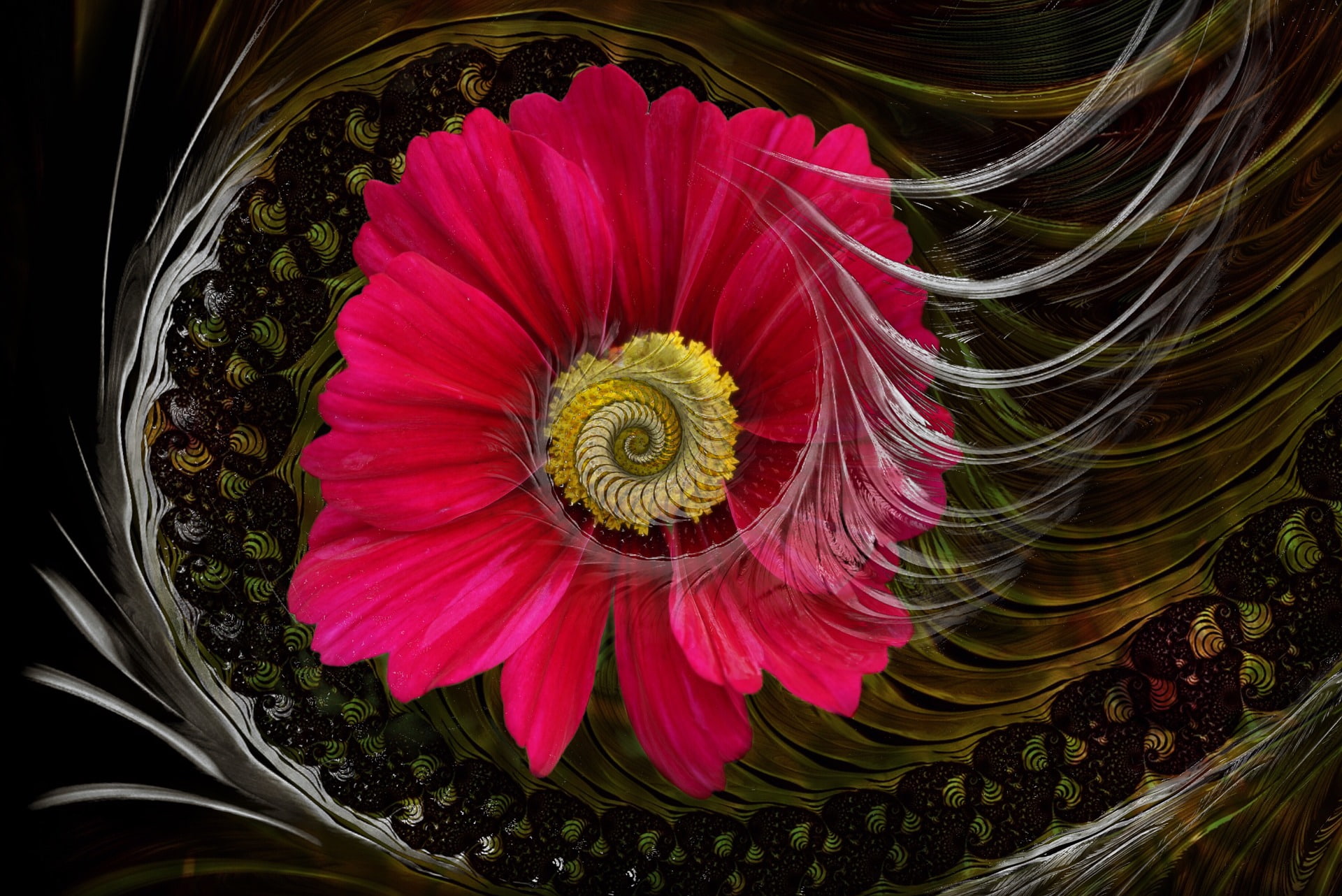 fantasy, digital, artistic, photoshop, 1080P, creative, fairytale, artwork, surreal, manipulation, art, HD Wallpaper