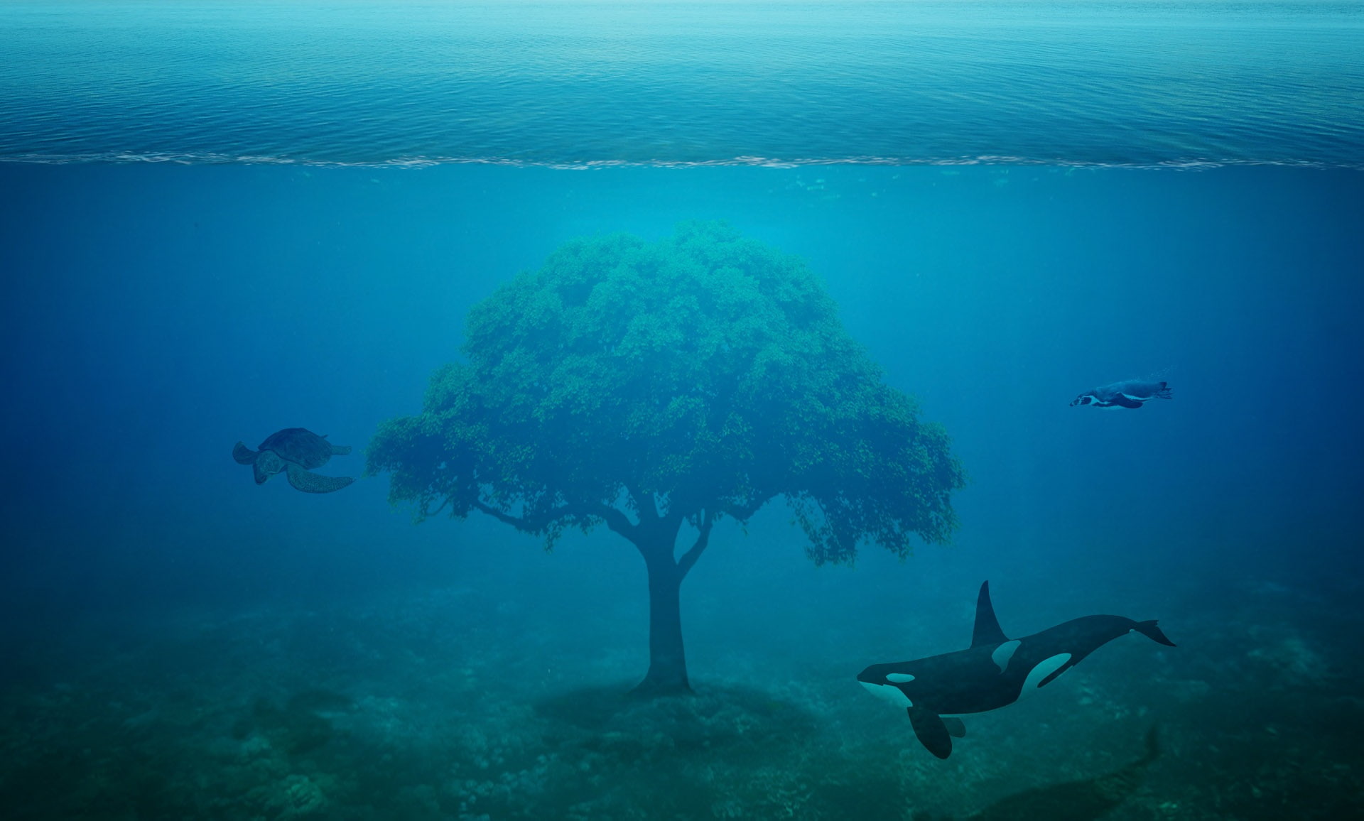 surreal, photoshop, fairytale, art, artistic, manipulation, fantasy, artwork, creative, 1080P, digital, HD Wallpaper