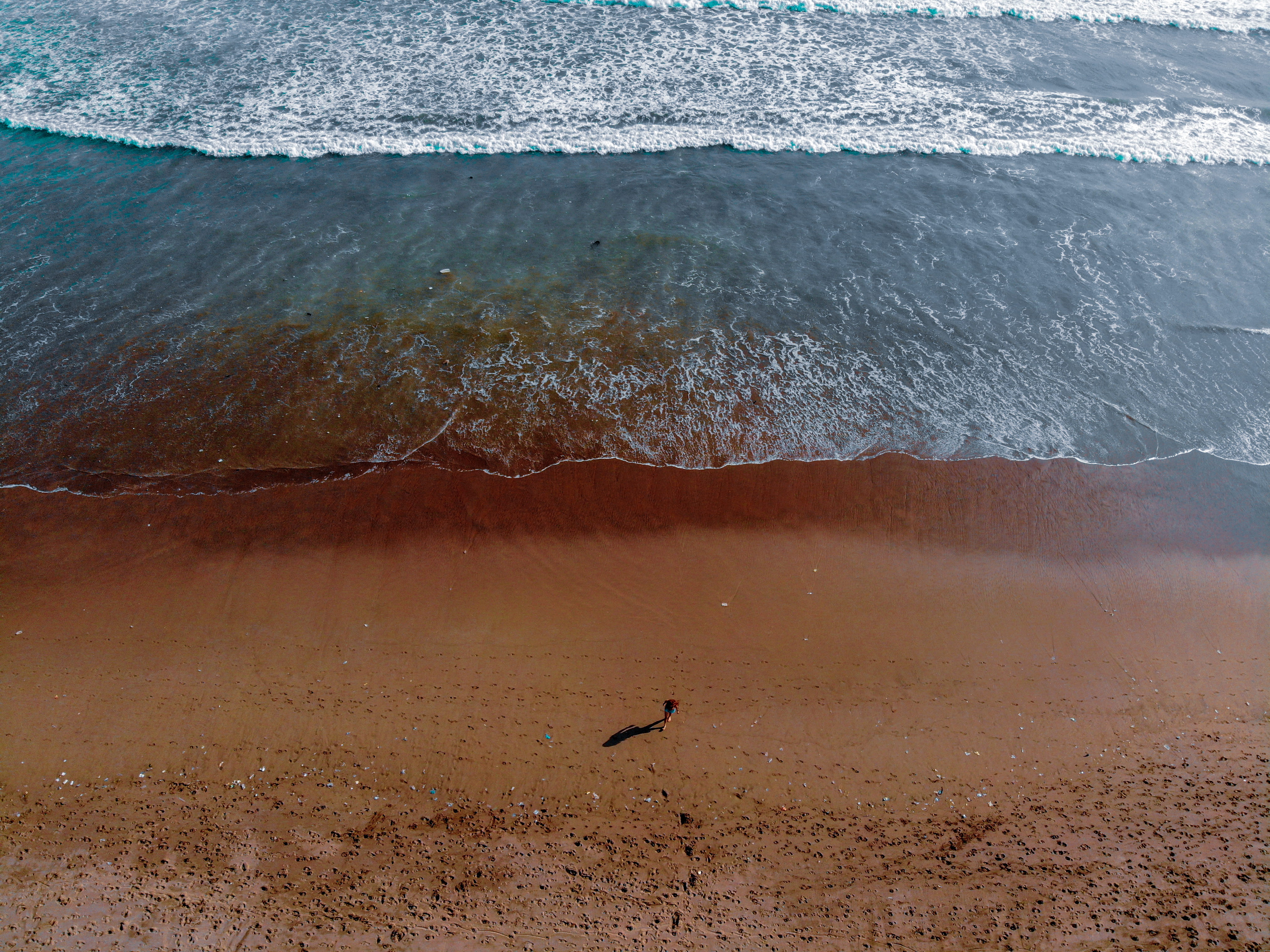 indonesia, one animal, kuta utara, no people, animals in the wild, day, orangeandteal, waves, bird, outdoors, 4K, beach, surf, wave, animal themes, animal wildlife, HD Wallpaper