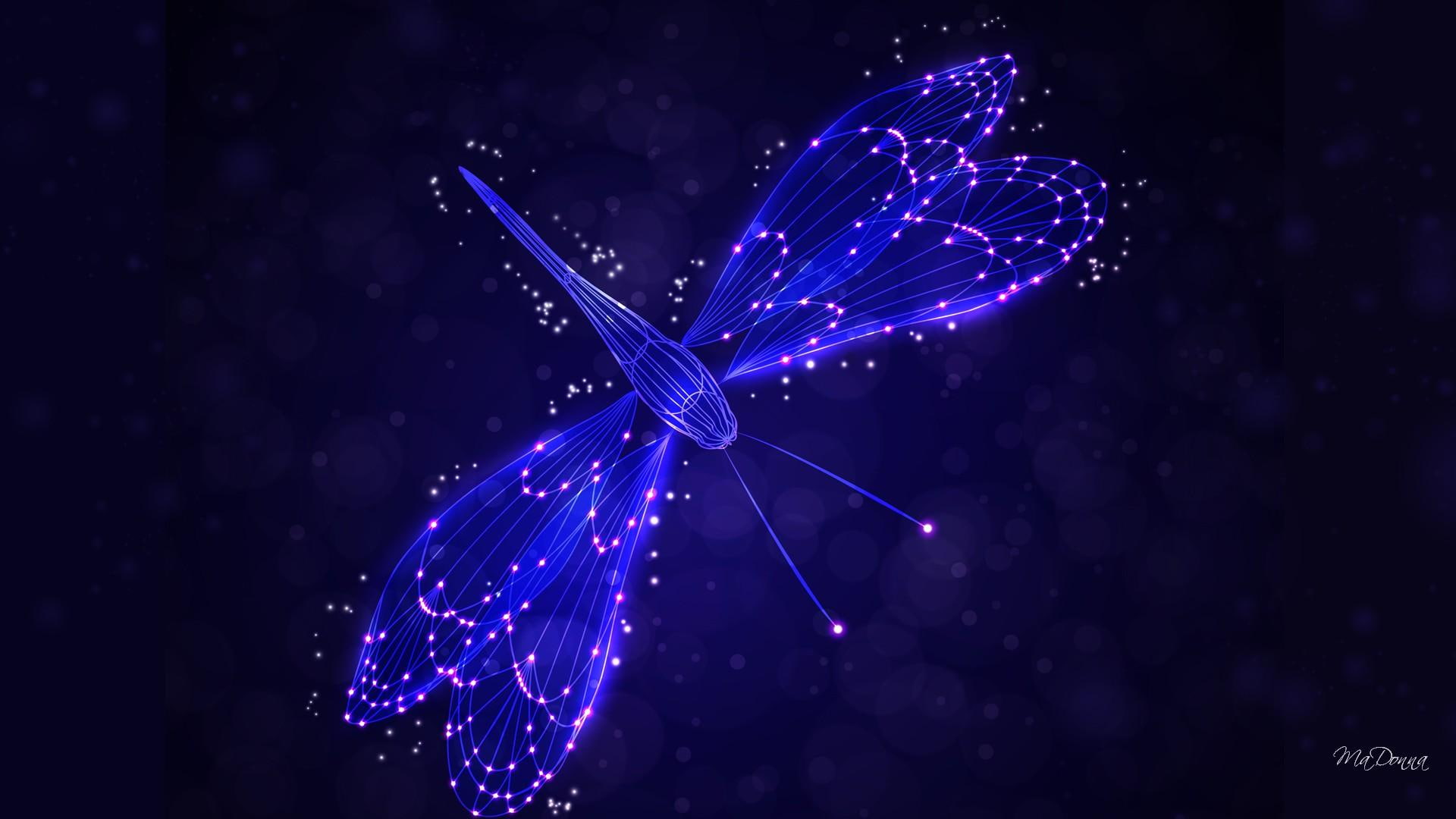 1080P, lights, fantasy, blue, garden, stars, shine, summer, nature and landscapes, glow, dragonfly, bright, HD Wallpaper