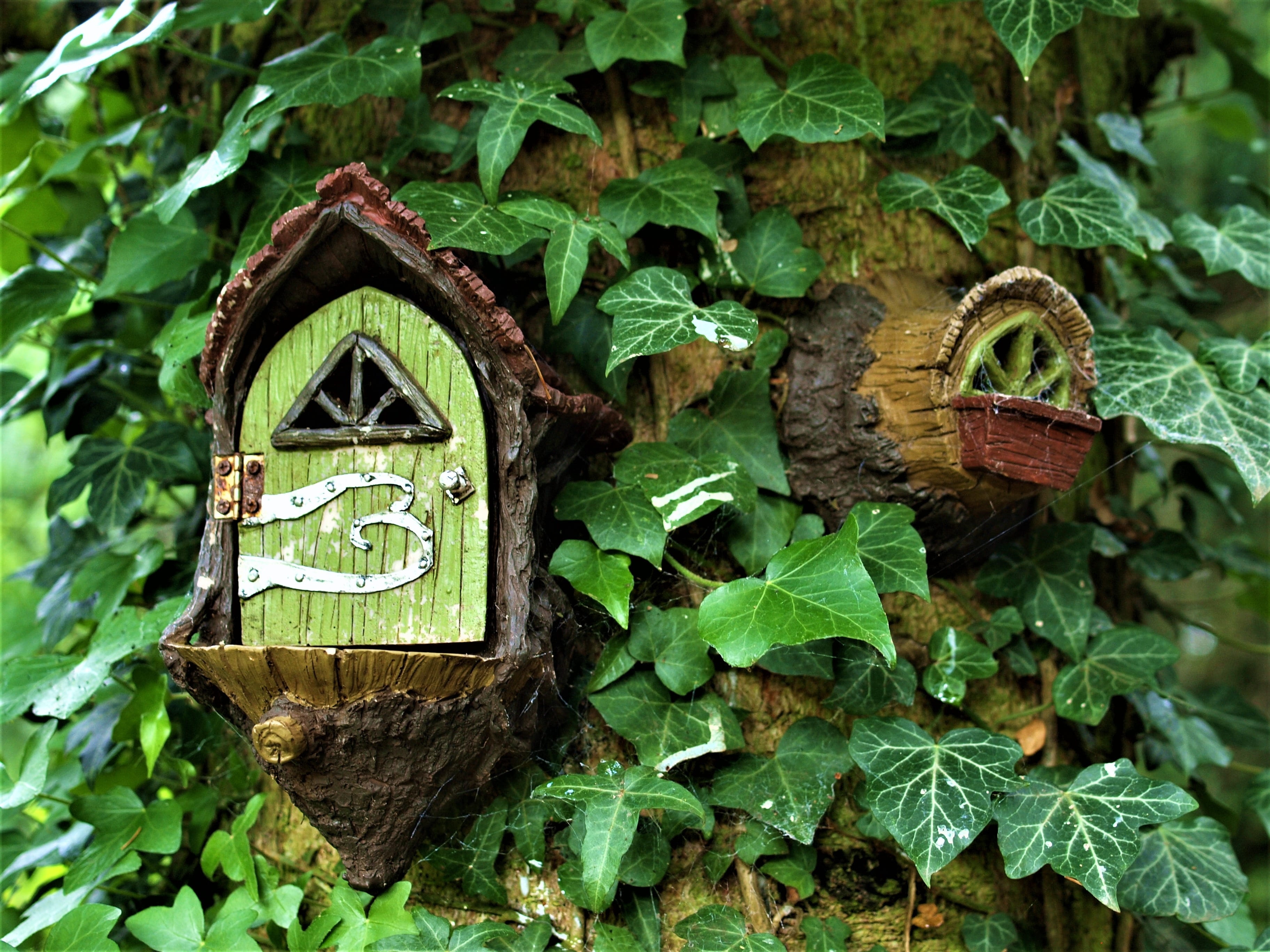 door, sign, no people, fantasy, 2K, communication, close-up, ivy, birdhouse, focus on foreground, growth, plant, day, nature, fairy garden, outdoors, beauty in nature, HD Wallpaper