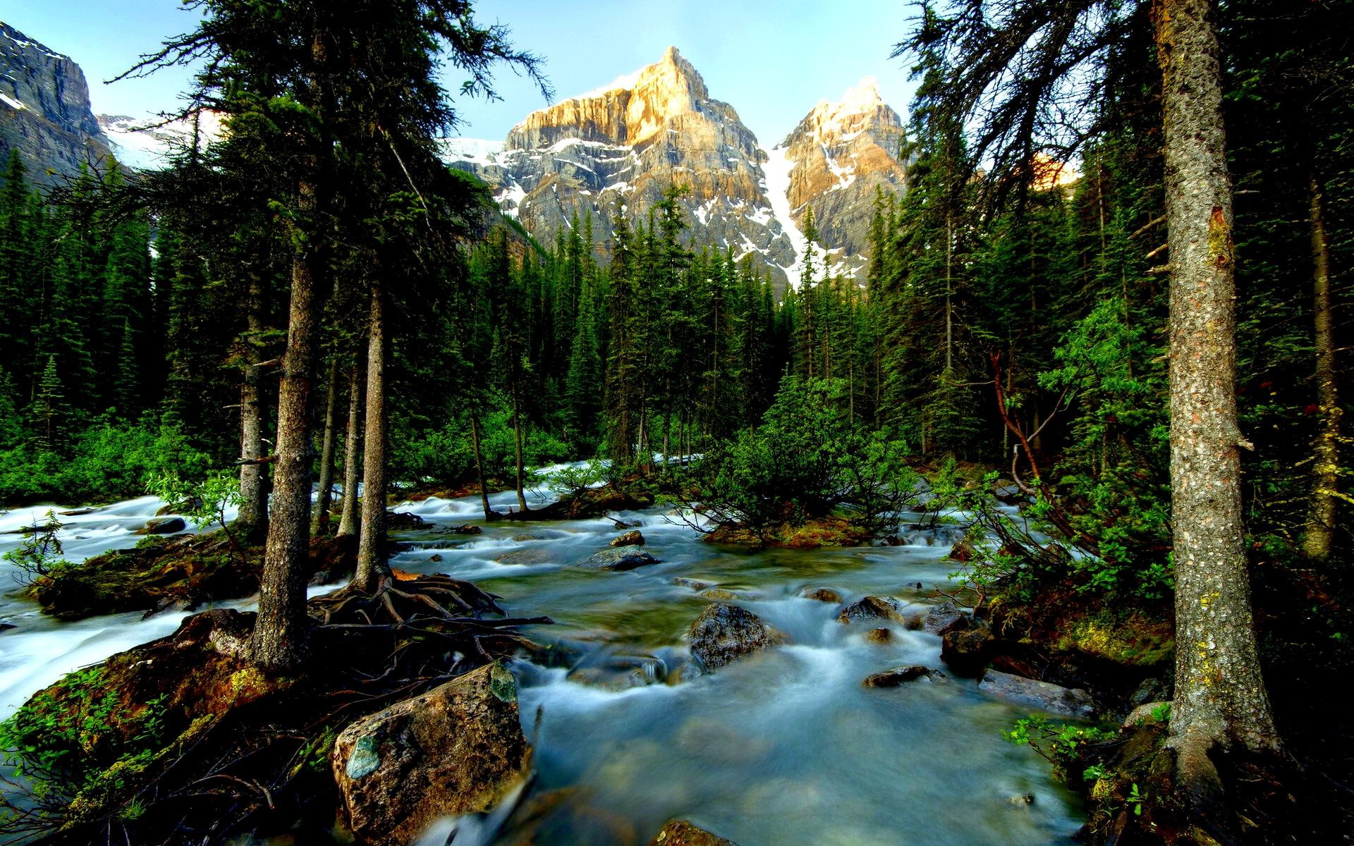 national, 1080P, landscape, photograph, park, canada, banff, nature and landscapes, HD Wallpaper
