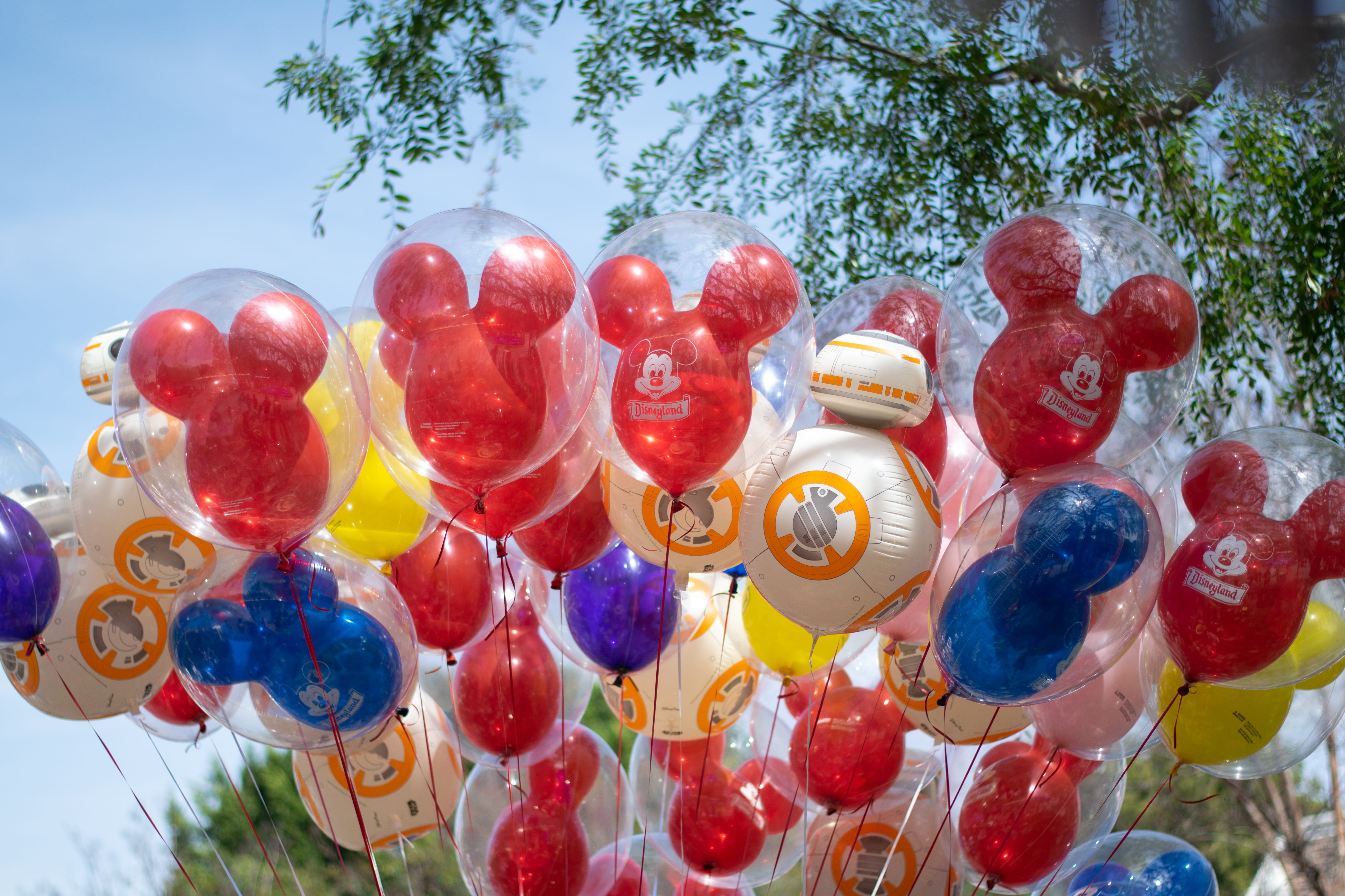 close-up, bb8, happy, choice, united states, mickey mouse, collection, variation, multi colored, balloons, plant, toy, sky, disney, blue, focus on foreground, HD Wallpaper