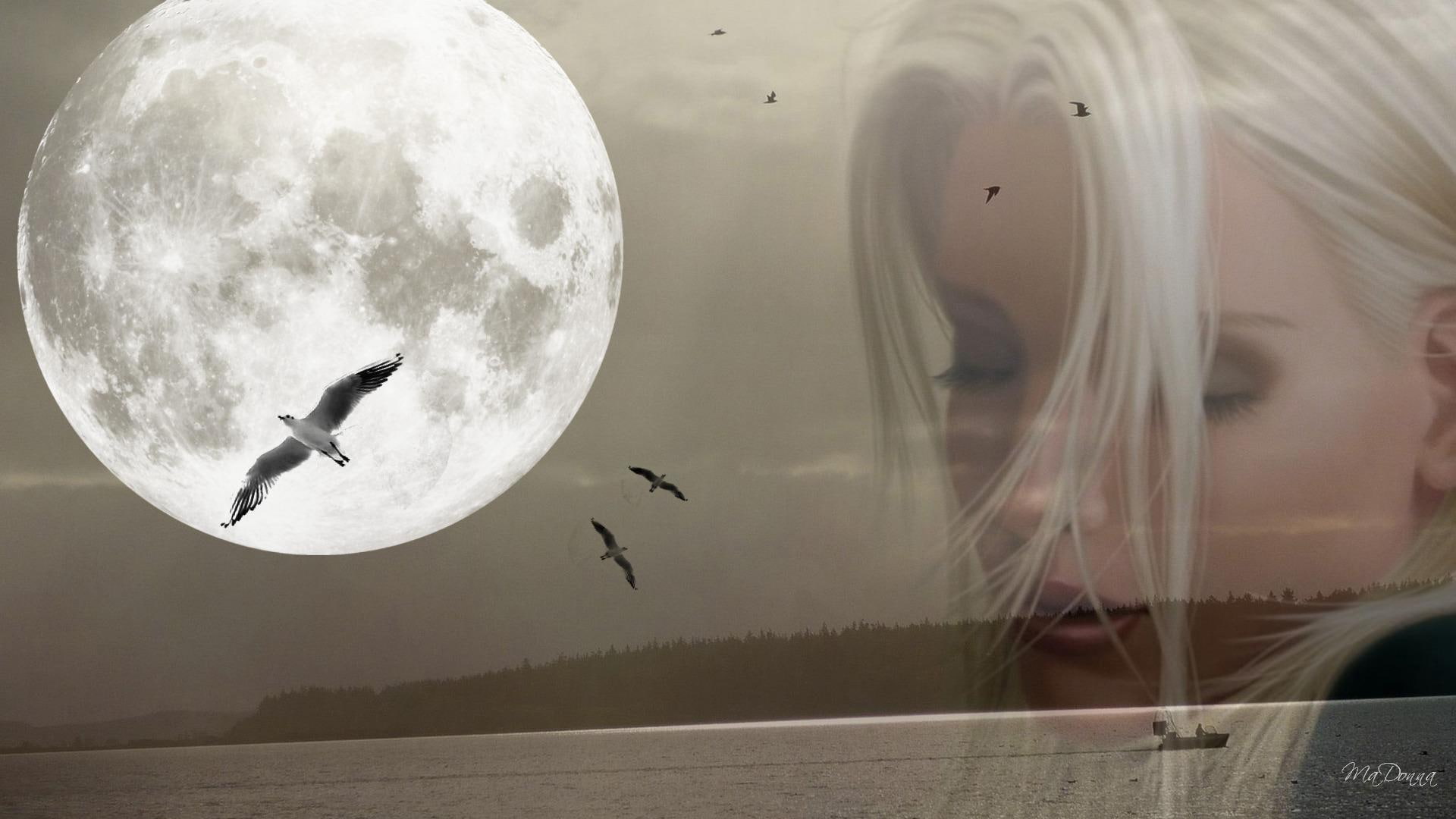washington, dreamer, birds, widescreen, girl, collage, 3d and abstract, moon, firefox persona, 1080P, HD Wallpaper