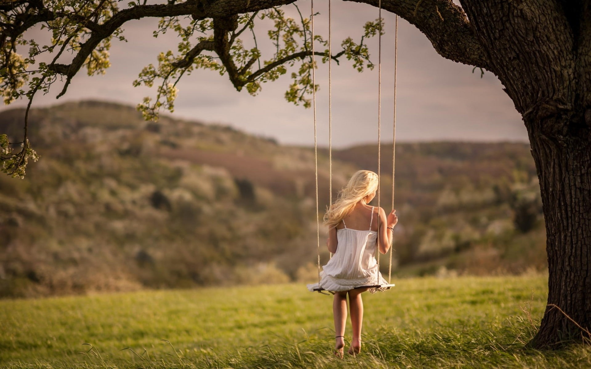 real people, dress, child, blond hair, tree, girls, one person, full length, lifestyles, day, fashion, grass, focus on foreground, plant, trees, white tops, HD Wallpaper