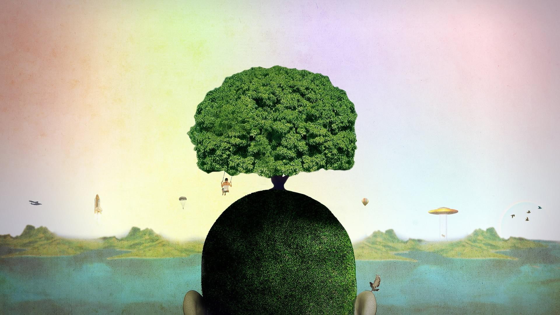 head, swing, 1920x1080, 1080P, green, river, leaf, tree, growing, artistic, HD Wallpaper