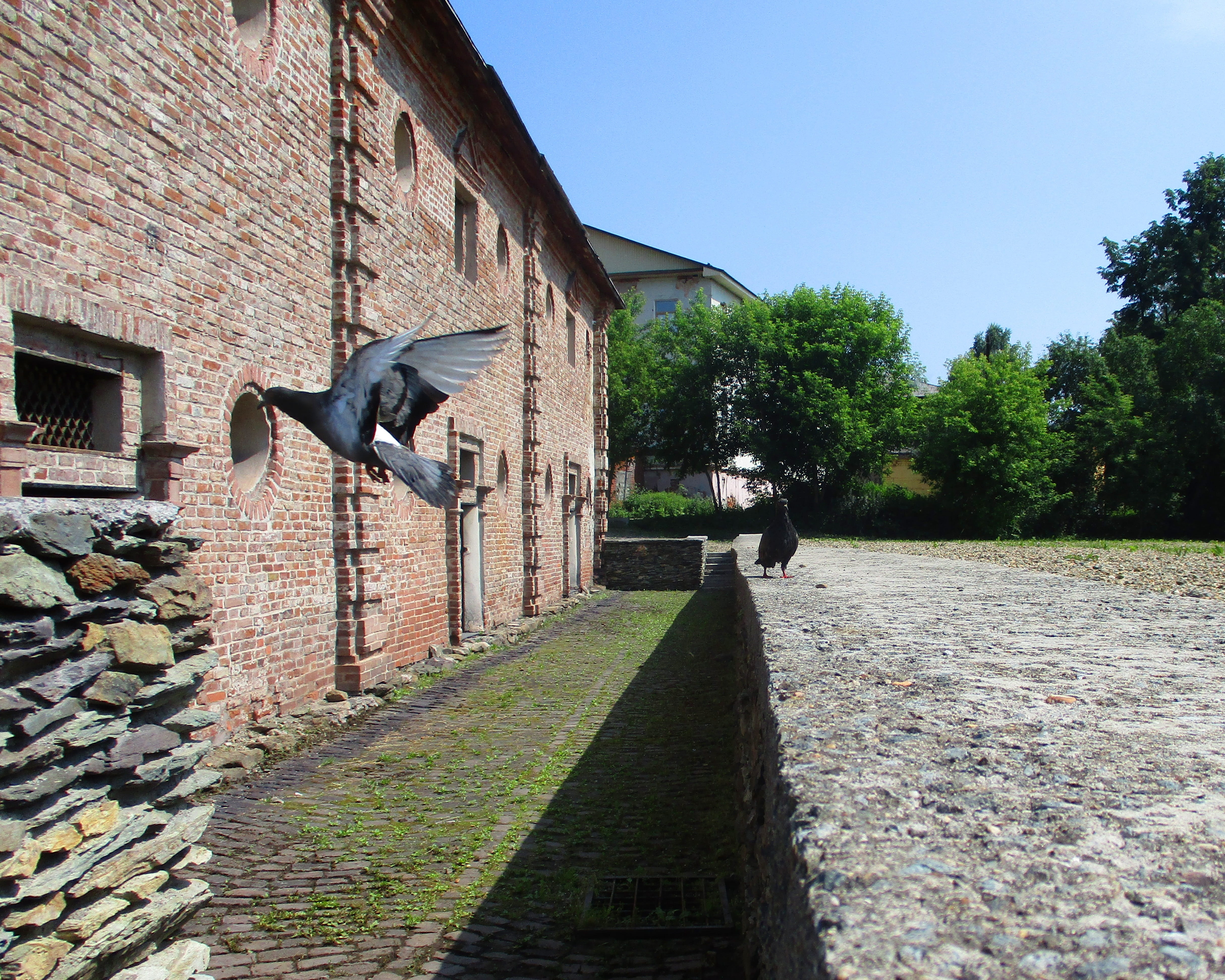 wings, castle, 4K, outdoors, grille, history, tree, doors, stone, stone wall, the façade of the, iron, brick wall, house, architecture, built structure, HD Wallpaper