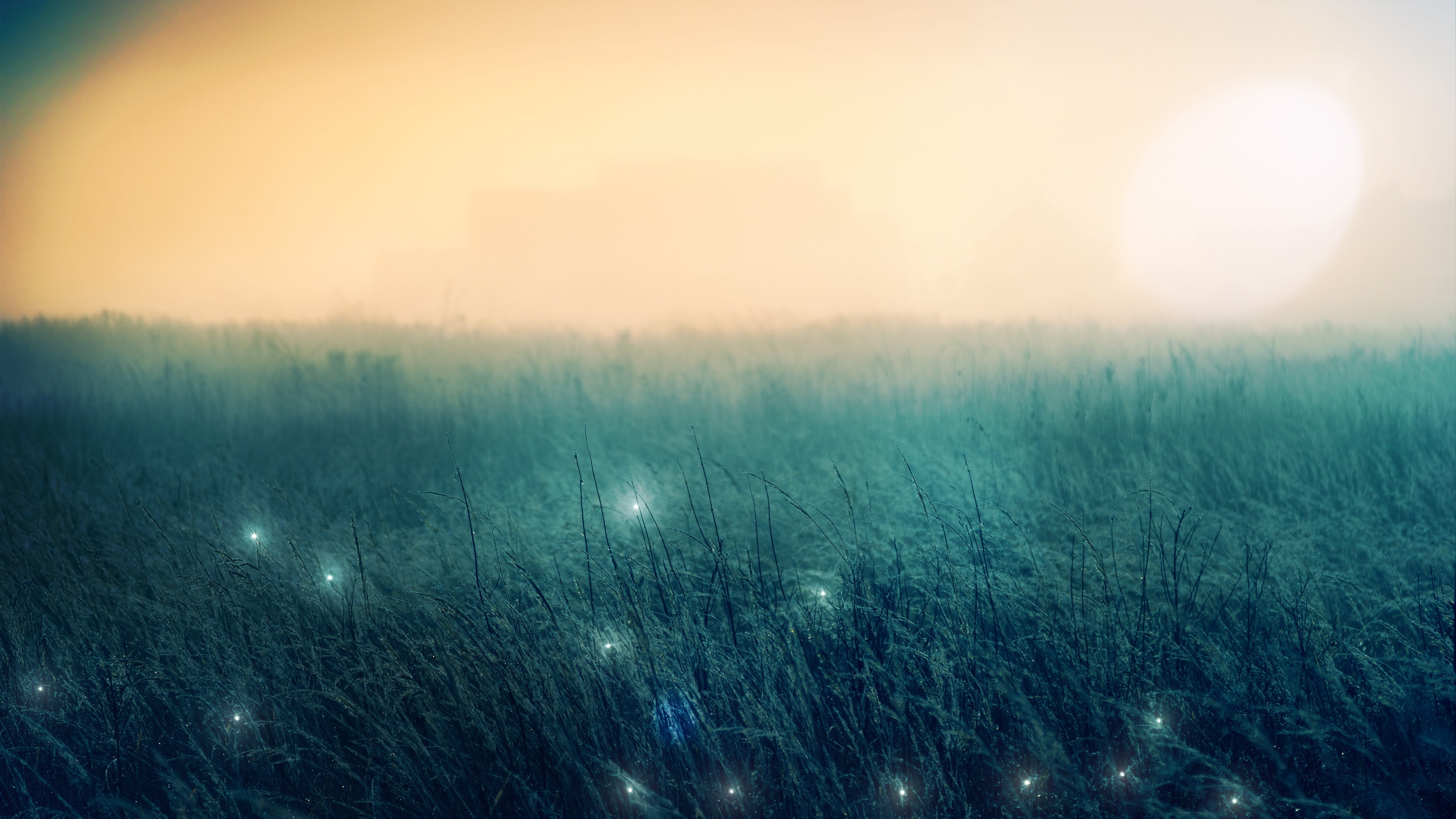no people, desktop, beauty in nature, plant, design, tranquility, grass, blue, art, abstract, outdoors, field, lens flare, fog, contrast, tranquil scene, HD Wallpaper