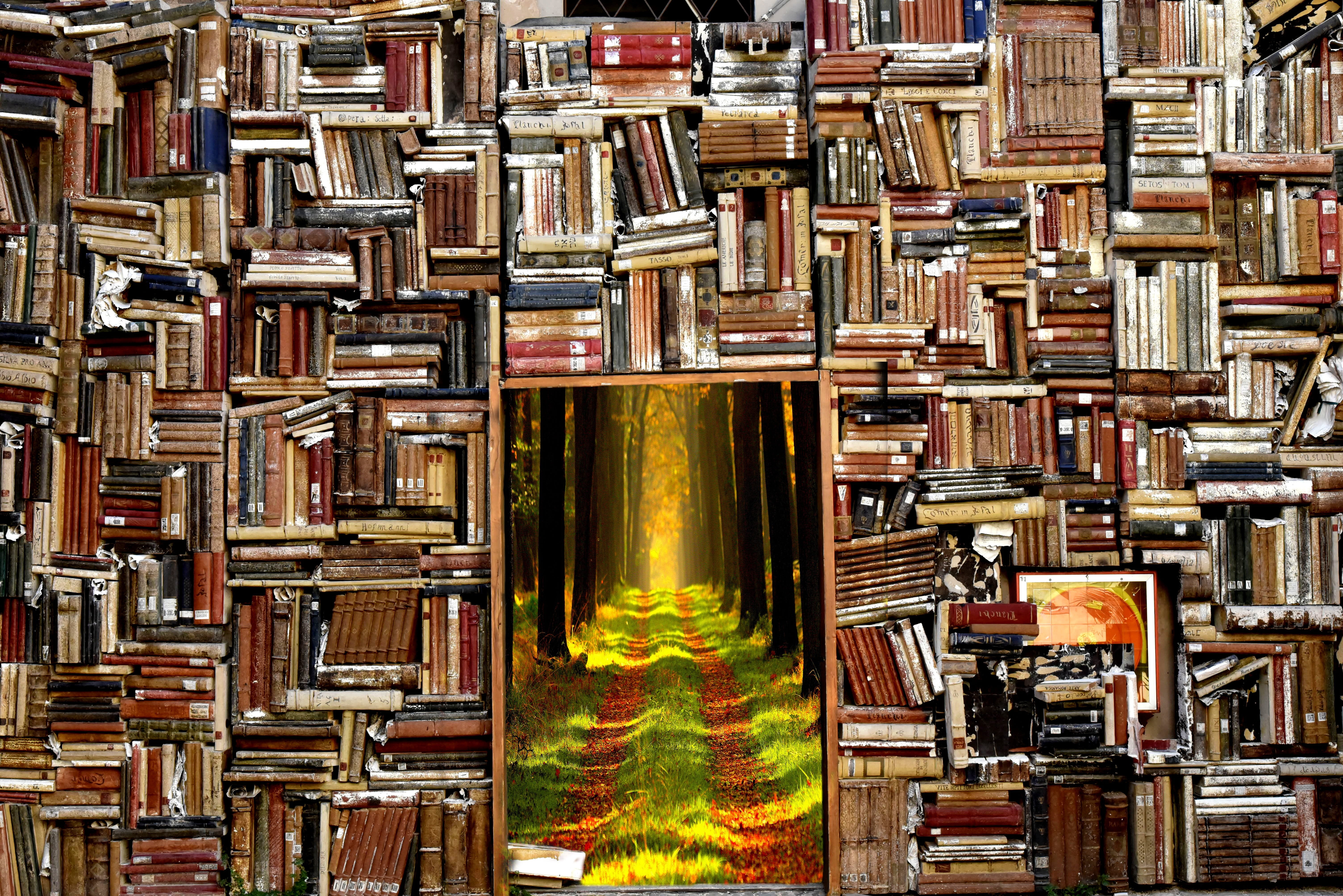 in a row, library, abundance, imagination, lot, indoors, shelf, pattern, building, forest, autumn, bookshelf, nature, reading, full frame, 5K, architecture, HD Wallpaper