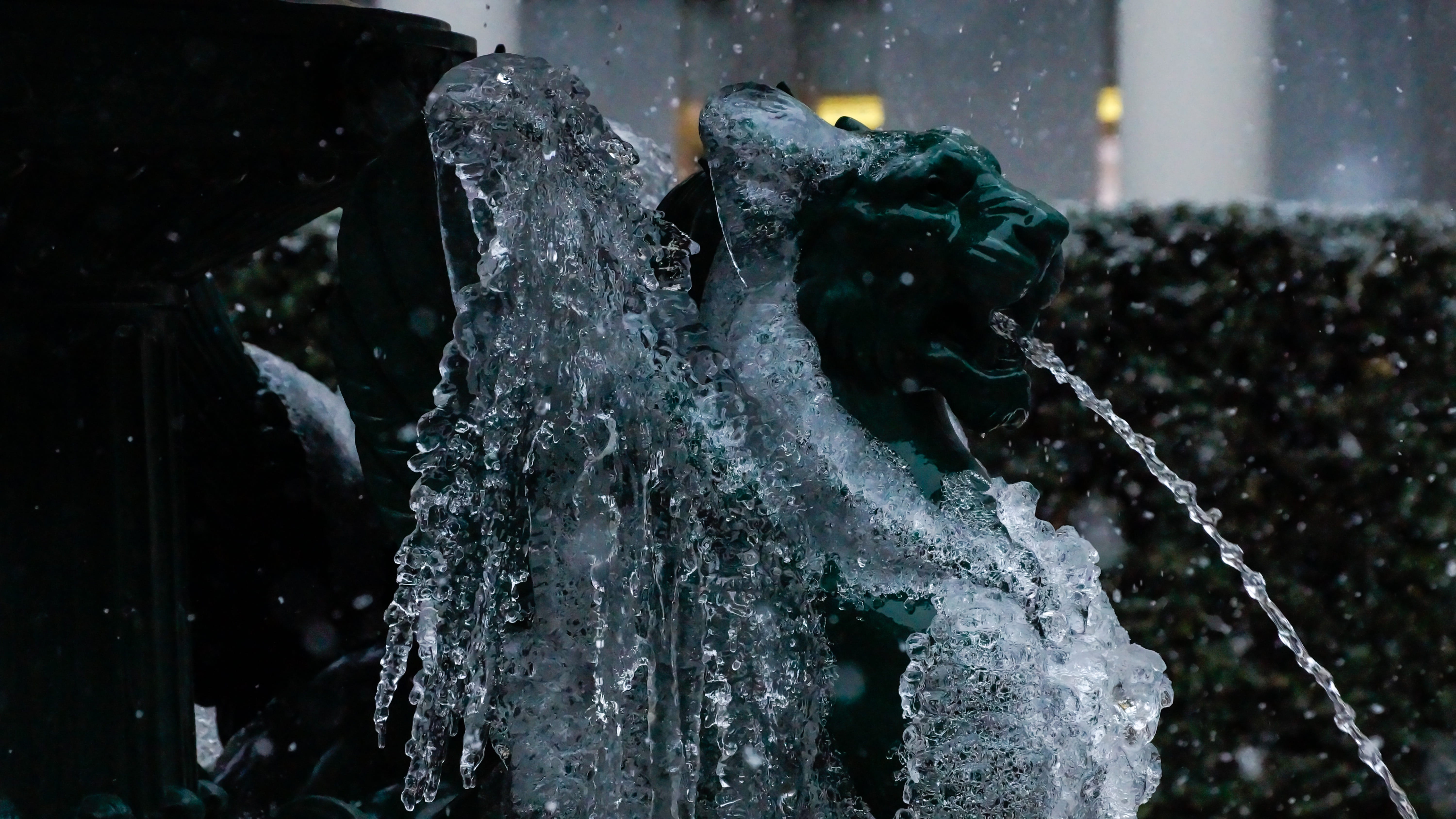 blurred motion, zentralhof, focus on foreground, griffon, griffin, water, no people, europe, Snow, statue, wet, creature, splashing, Winter, close-up, spraying, HD Wallpaper