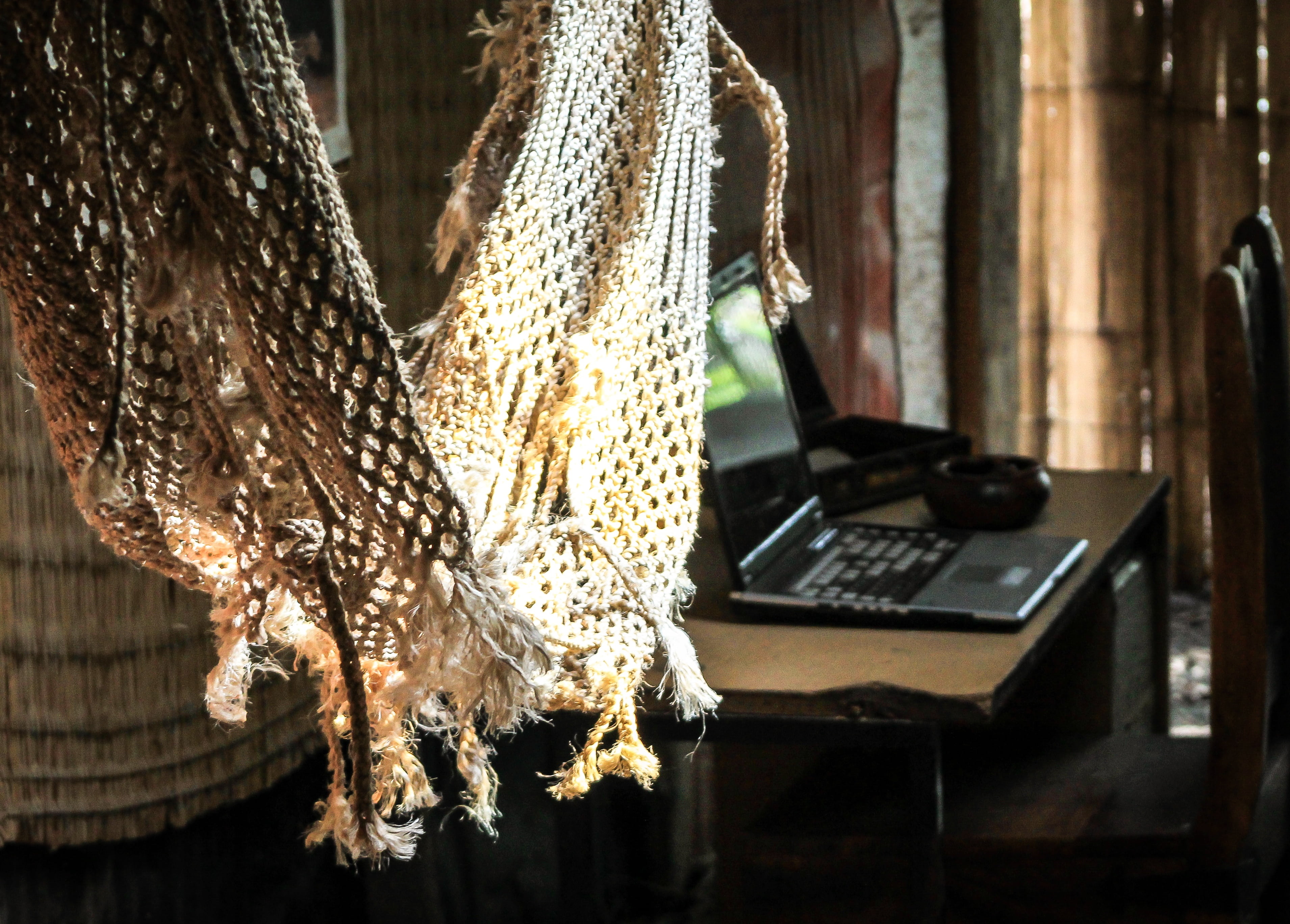 rest, focus on foreground, 2K, desk, animal, black, wooden, hanging, day, close-up, vertebrate, table, no people, retail, hammock, house, nature, uninhabited island, HD Wallpaper