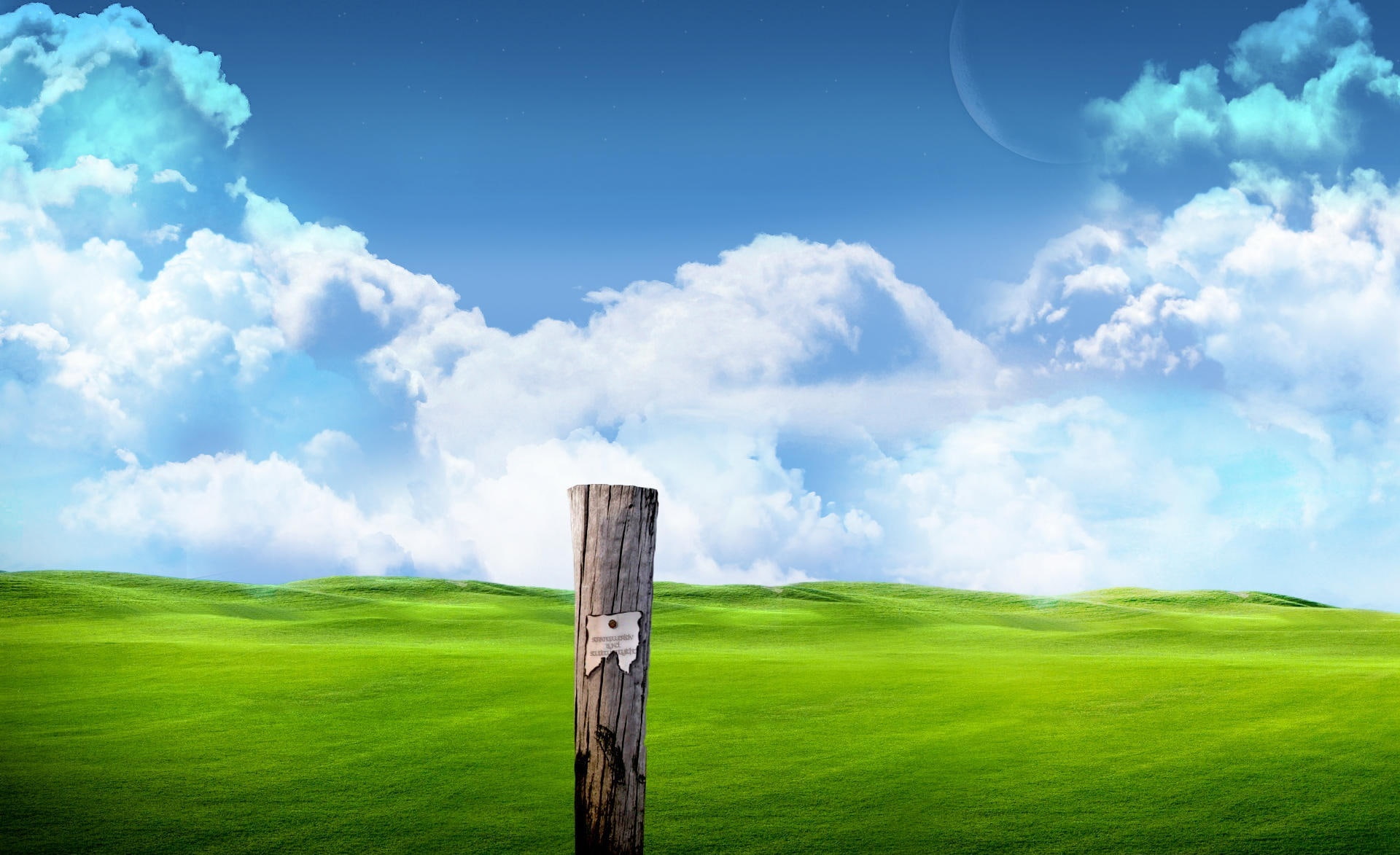 green color, land, nature, rural scene, scenics - nature, grass, plain, outdoors, tranquil scene, tranquility, day, field, lands, Creative, wooden post, HD Wallpaper