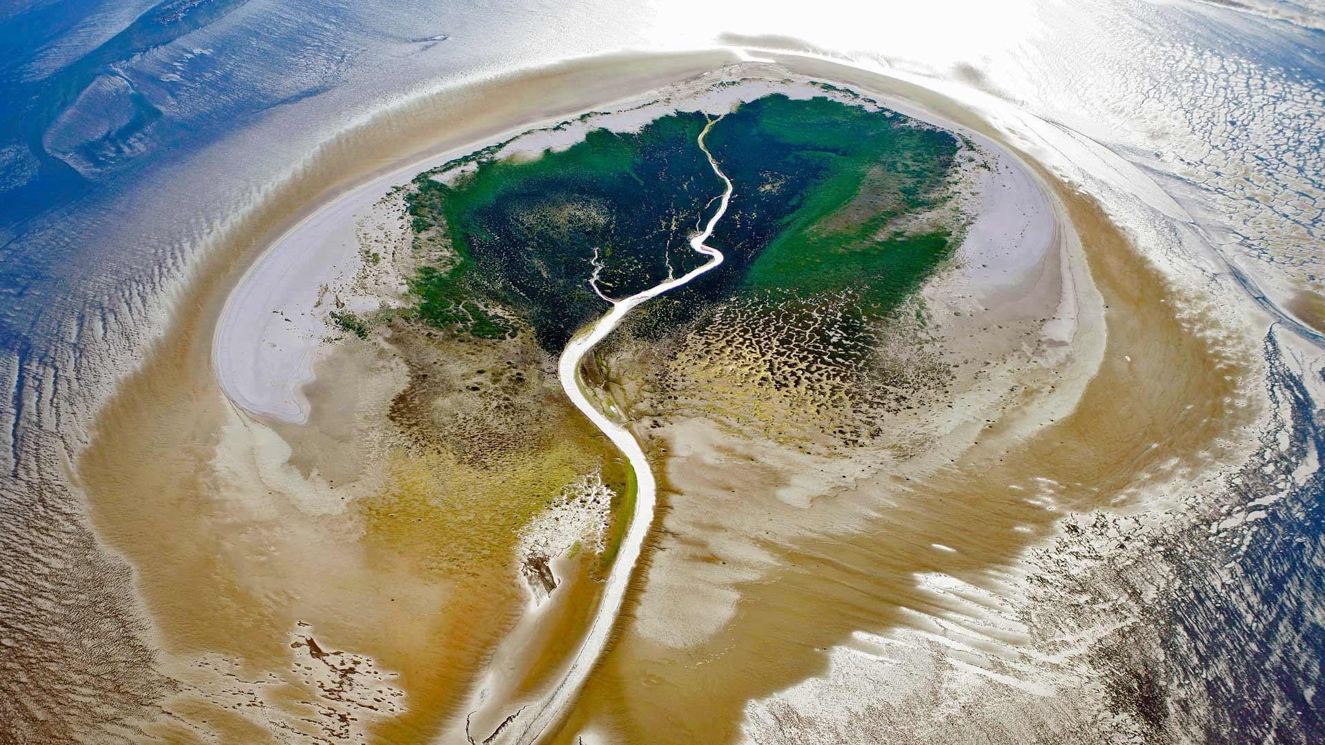 environment, island, beach, tranquil scene, day, motion, waterfront, europe, high angle view, water, sand, sunlight, 1080P, wadden sea, beauty in nature, HD Wallpaper