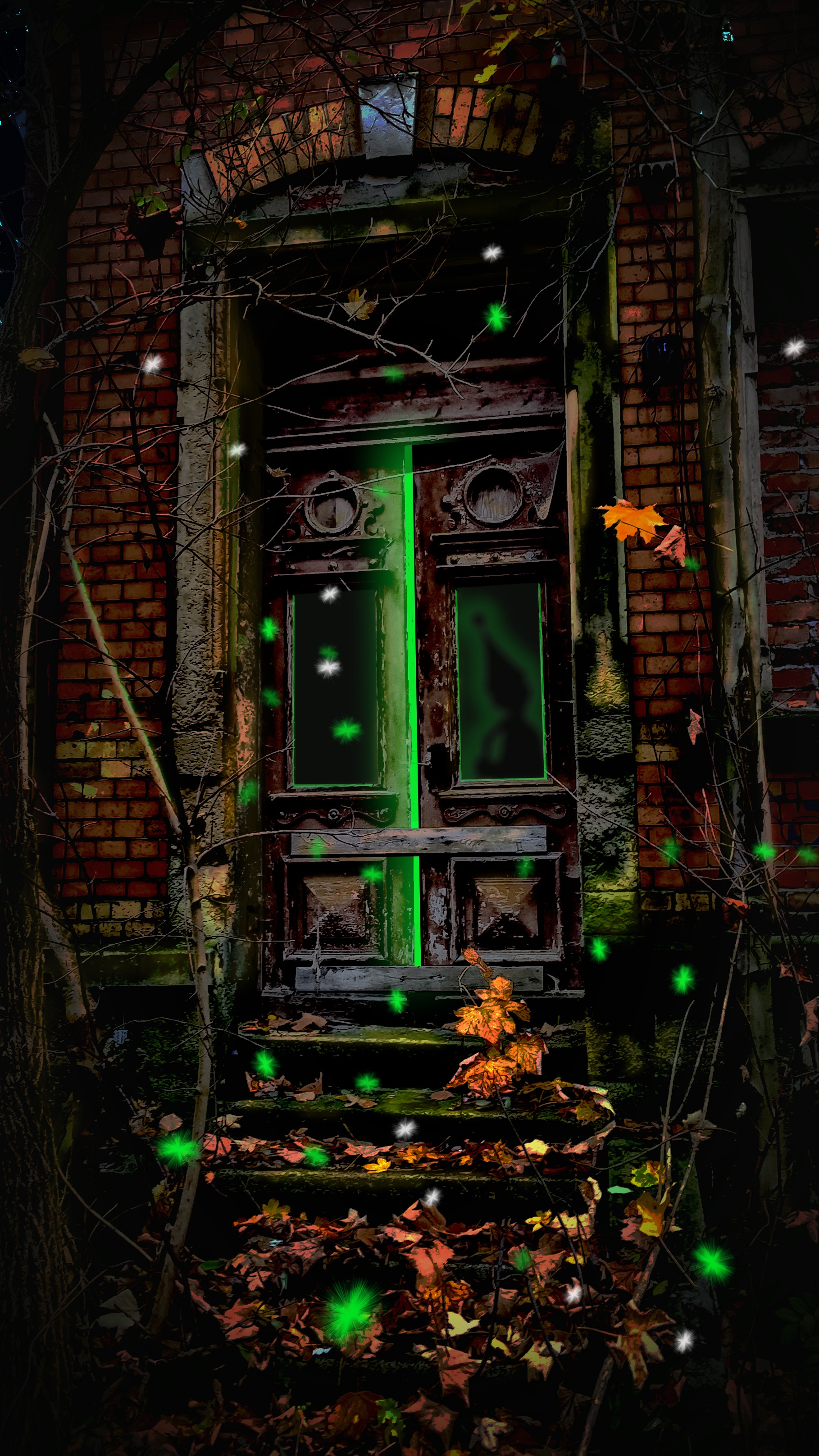 abandoned, facade, horror, damaged, metal, gloomy, plant, bad condition, building exterior, mystical, run-down, ghost, spooky, mysterious, psychic, creepy, Phone HD Wallpaper