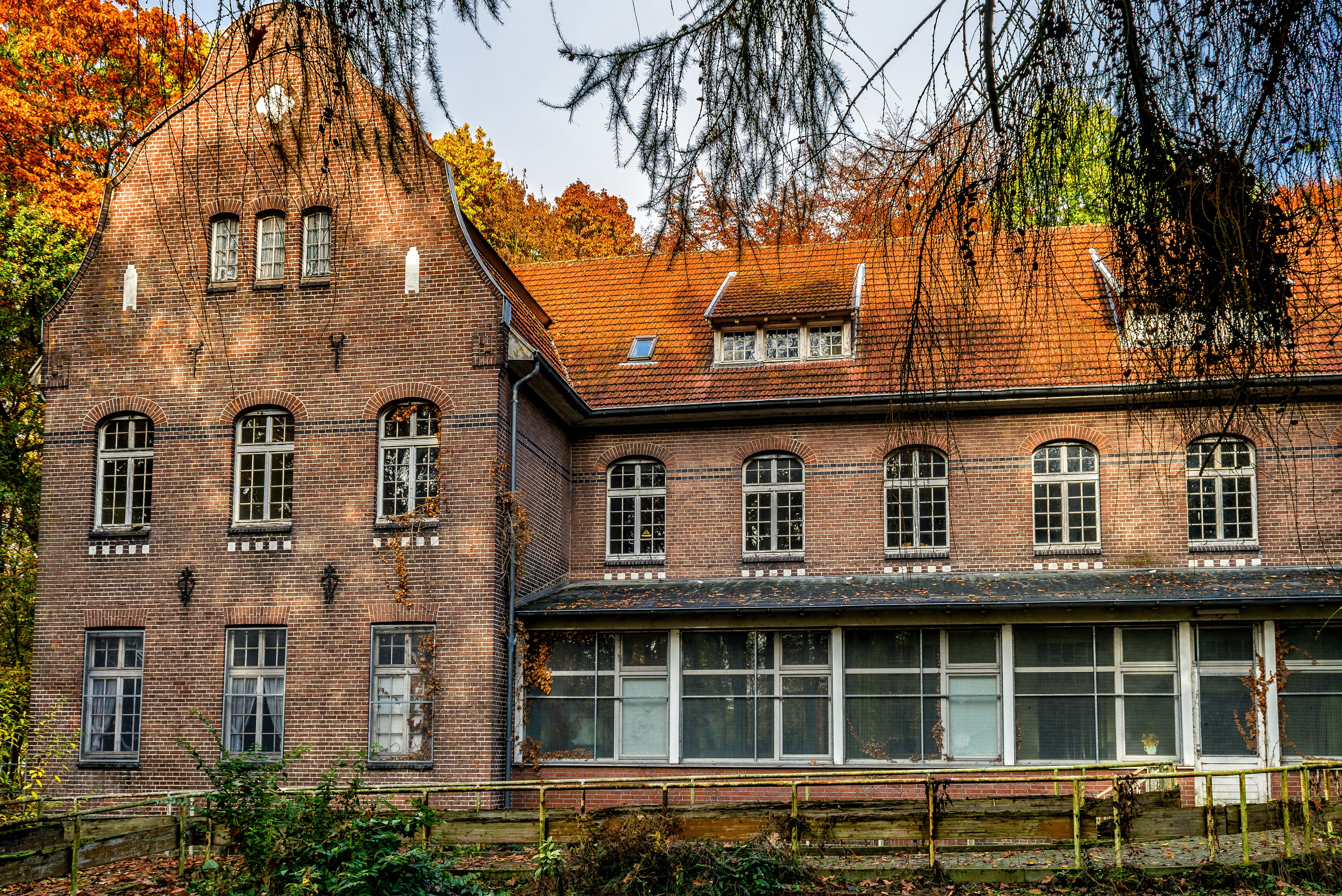 lost places, no people, uninhabited, old, plant, house, clinic, outdoors, building exterior, low angle view, empty, sky, the past, psychiatry, built structure, HD Wallpaper