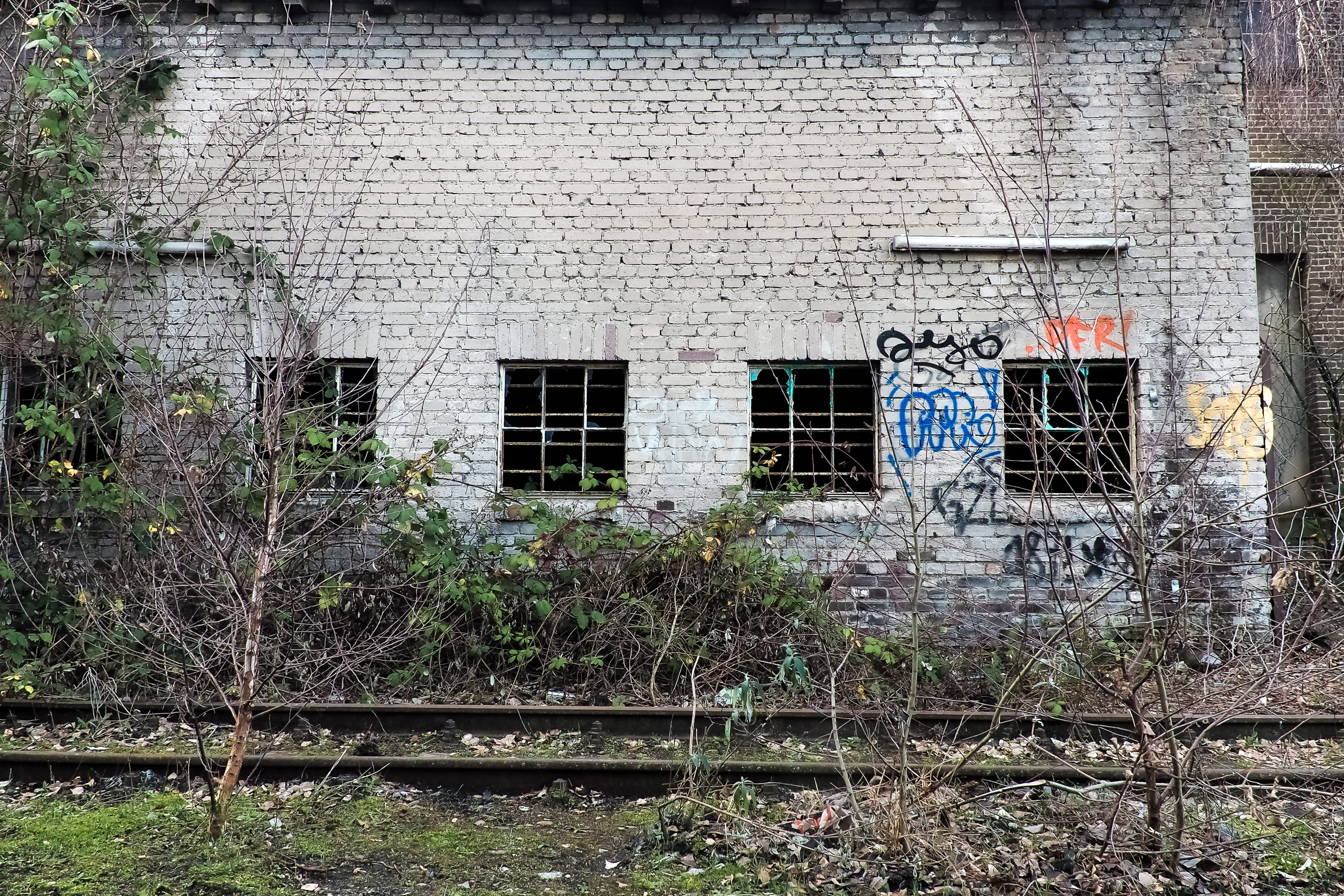 run down, built structure, no people, plant, overgrown, architecture, abandoned place, run-down, industrial plant, uninhabited, old factory, destroyed, HD Wallpaper