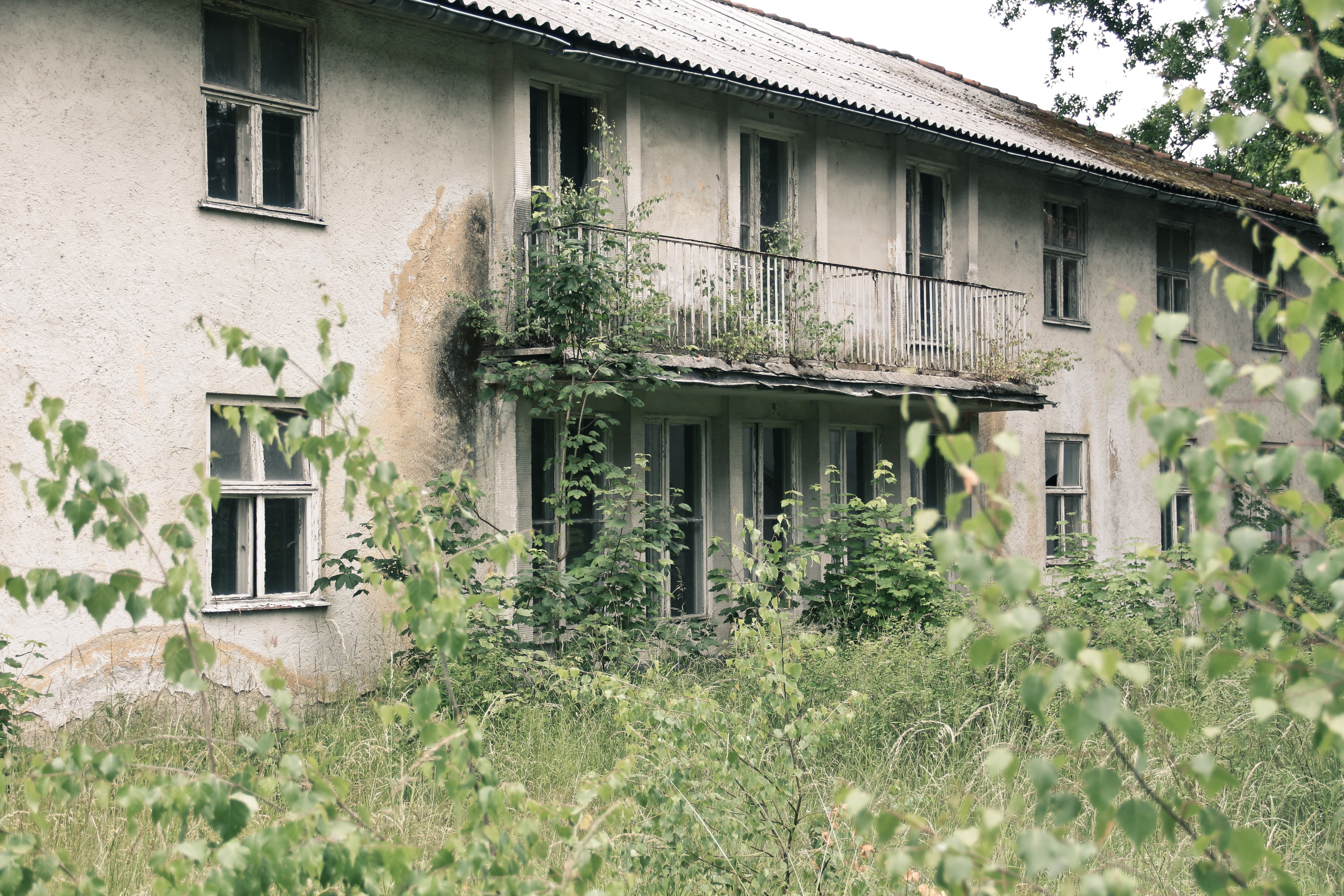 built structure, leave, house, uninhabited, old, green color, building exterior, plant, abandoned, no people, lost place, residential district, grass, nature, HD Wallpaper