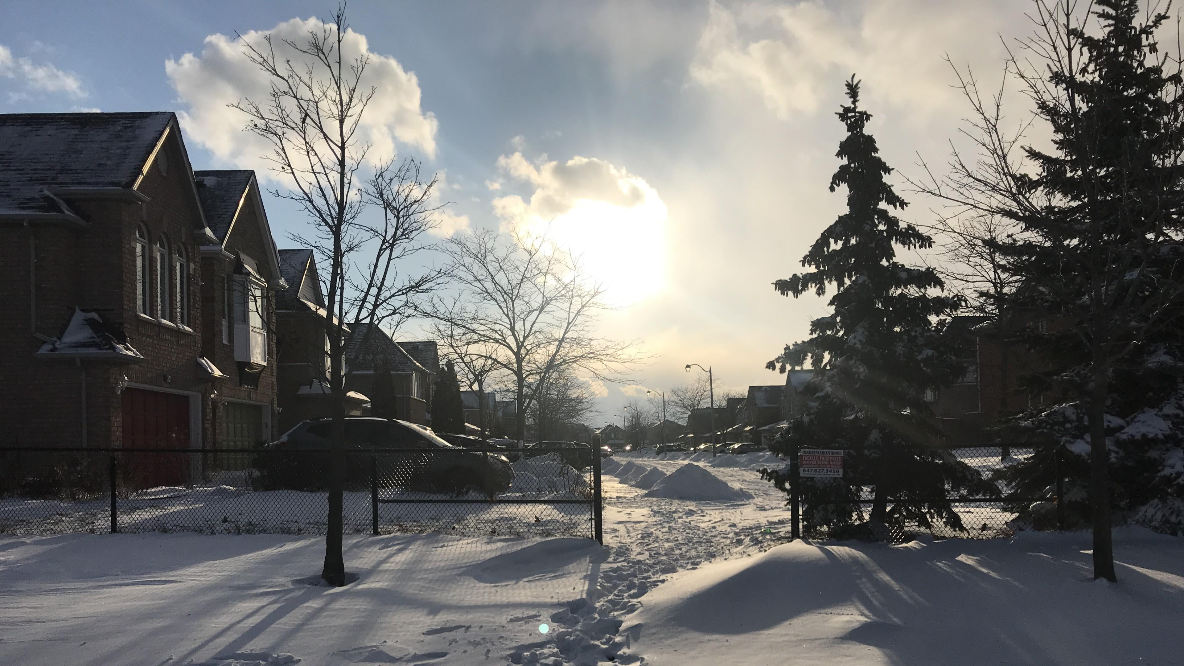 trees, building exterior, plant, brampton, outdoors, no people, house, beauty in nature, bare tree, snow, city, snowcover, cloud - sky, sky, architecture, HD Wallpaper