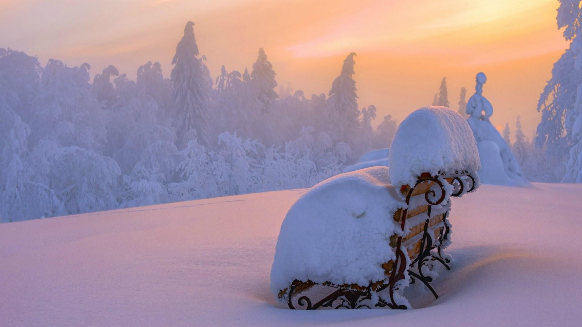 land, pine tree, freezing, frozen, tranquility, coniferous tree, russia, bench, tranquil scene, light, white color, no people, beauty in nature, ice, tree, HD Wallpaper